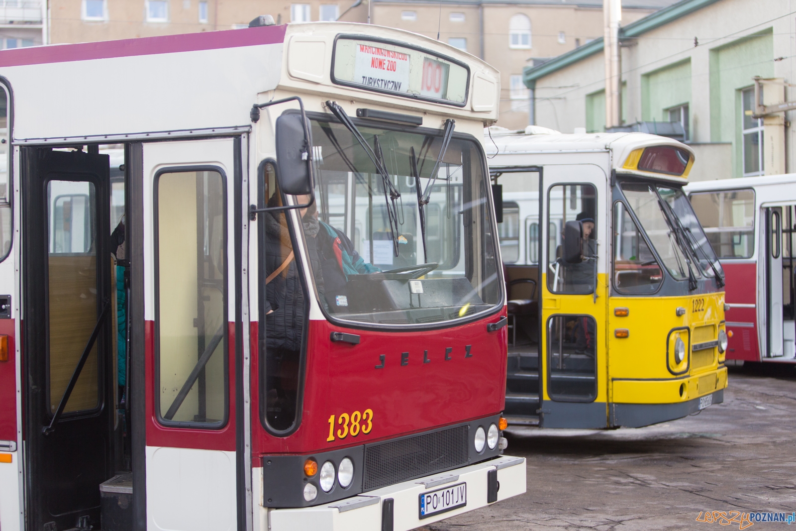 Katarzynki 2016 Foto: lepszyPOZNAN.pl / Piotr Rychter Katarzynki 2016 Foto: lepszyPOZNAN.pl / Piotr Rychter