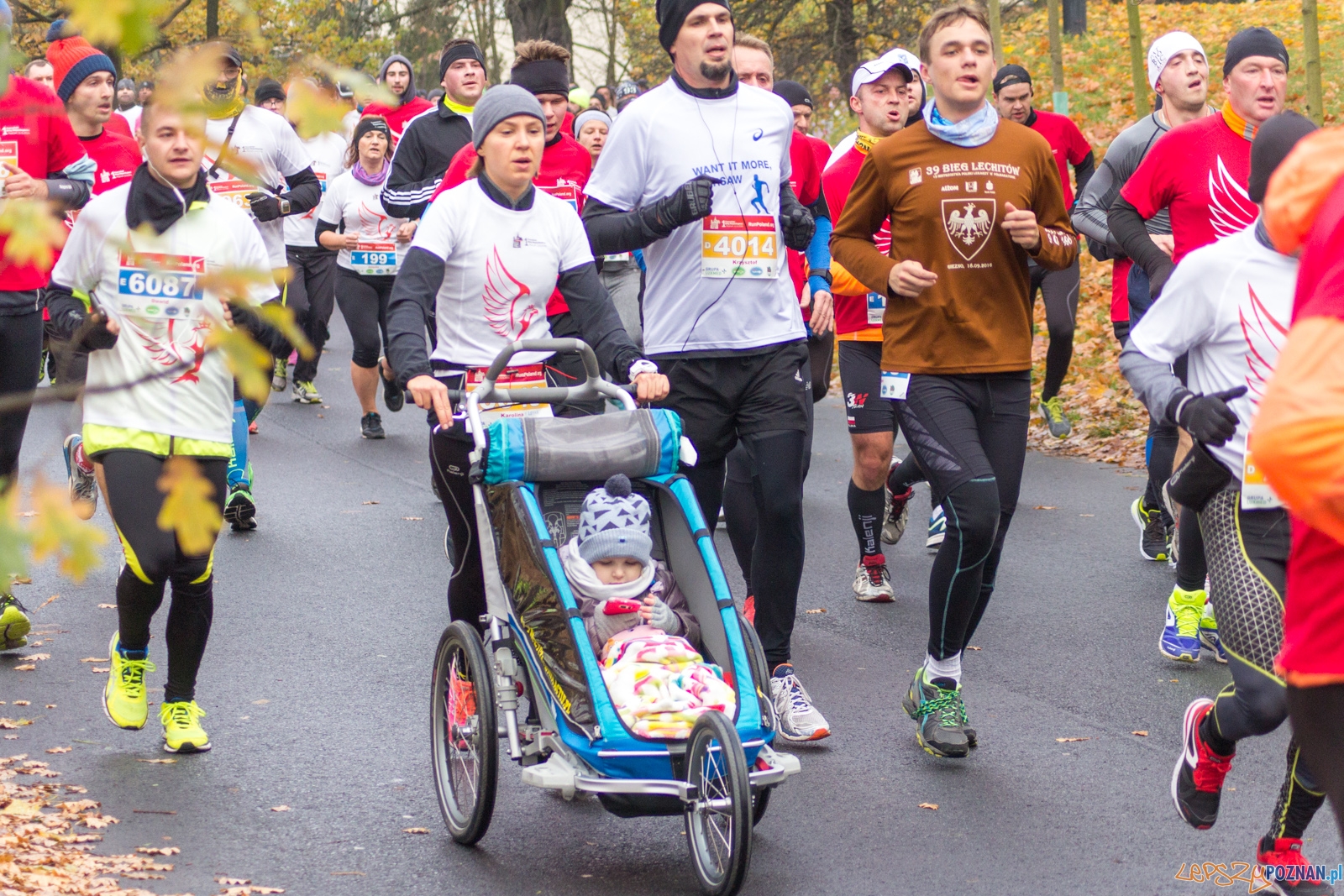 I Poznański Bieg Niepodległości Foto: lepszyPOZNAN.pl / Ewelina Jaśkowiak I Poznański Bieg Niepodległości Foto: lepszyPOZNAN.pl / Ewelina Jaśkowiak