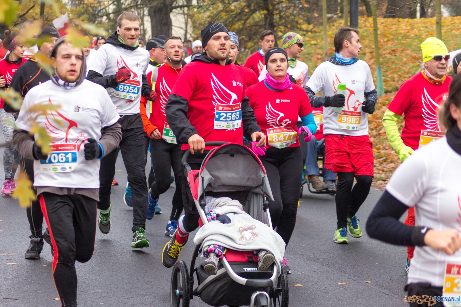 I Poznański Bieg Niepodległości Foto: lepszyPOZNAN.pl / Ewelina Jaśkowiak I Poznański Bieg Niepodległości Foto: lepszyPOZNAN.pl / Ewelina Jaśkowiak