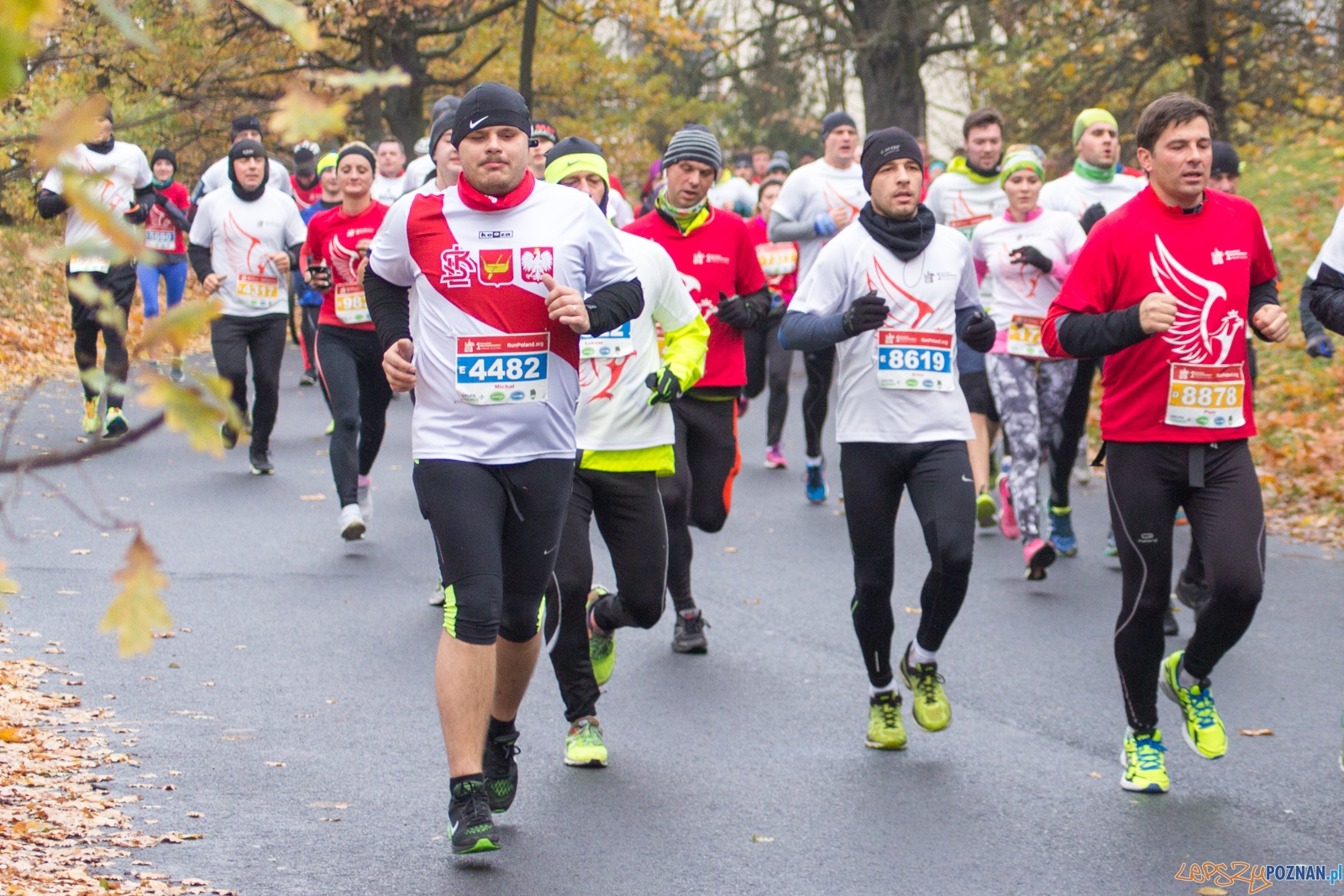 I Poznański Bieg Niepodległości Foto: lepszyPOZNAN.pl / Ewelina Jaśkowiak I Poznański Bieg Niepodległości Foto: lepszyPOZNAN.pl / Ewelina Jaśkowiak