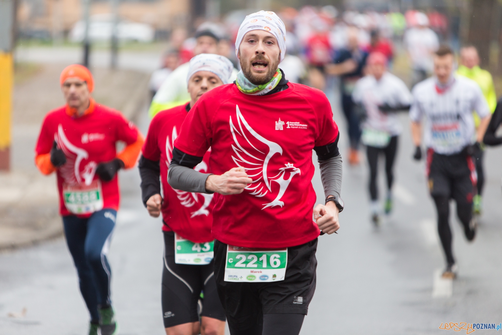 I Poznański Bieg Niepodległości Foto: lepszyPOZNAN.pl / Piotr Rychter I Poznański Bieg Niepodległości Foto: lepszyPOZNAN.pl / Piotr Rychter