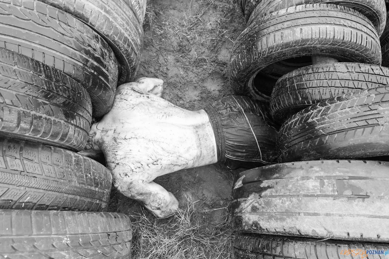 Runmageddon Foto: lepszyPOZNAN.pl / Piotr Rychter Runmageddon Foto: lepszyPOZNAN.pl / Piotr Rychter