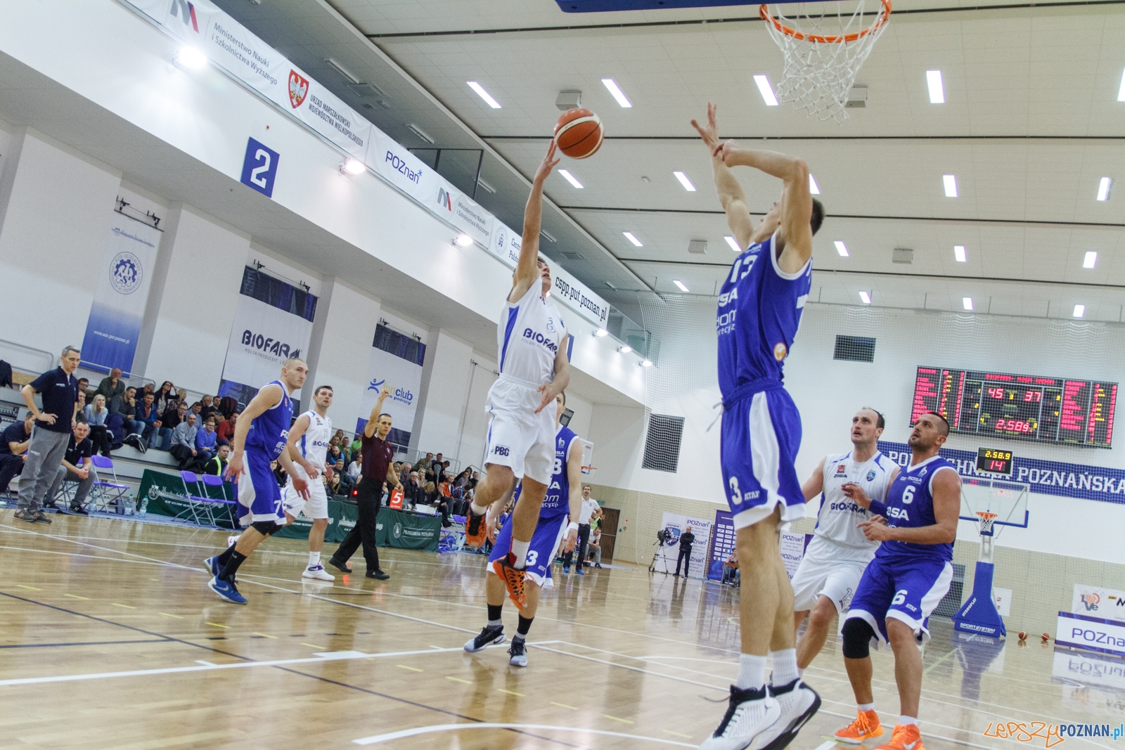Biofarm Basket Poznań - ACK UTH Rosa Radom 64:51 - 1 liga - Poz Foto: LepszyPOZNAN.pl / Paweł Rychter Biofarm Basket Poznań - ACK UTH Rosa Radom 64:51 - 1 liga - Poz Foto: LepszyPOZNAN.pl / Paweł Rychter