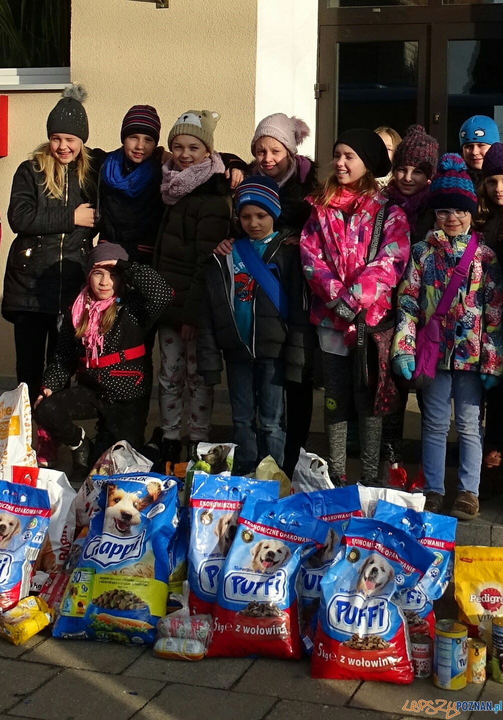 Na pomoc bezpańskim kejtrom Foto: Szkoła Podstawowa w Murowanej Goślinie Na pomoc bezpańskim kejtrom Foto: Szkoła Podstawowa w Murowanej Goślinie