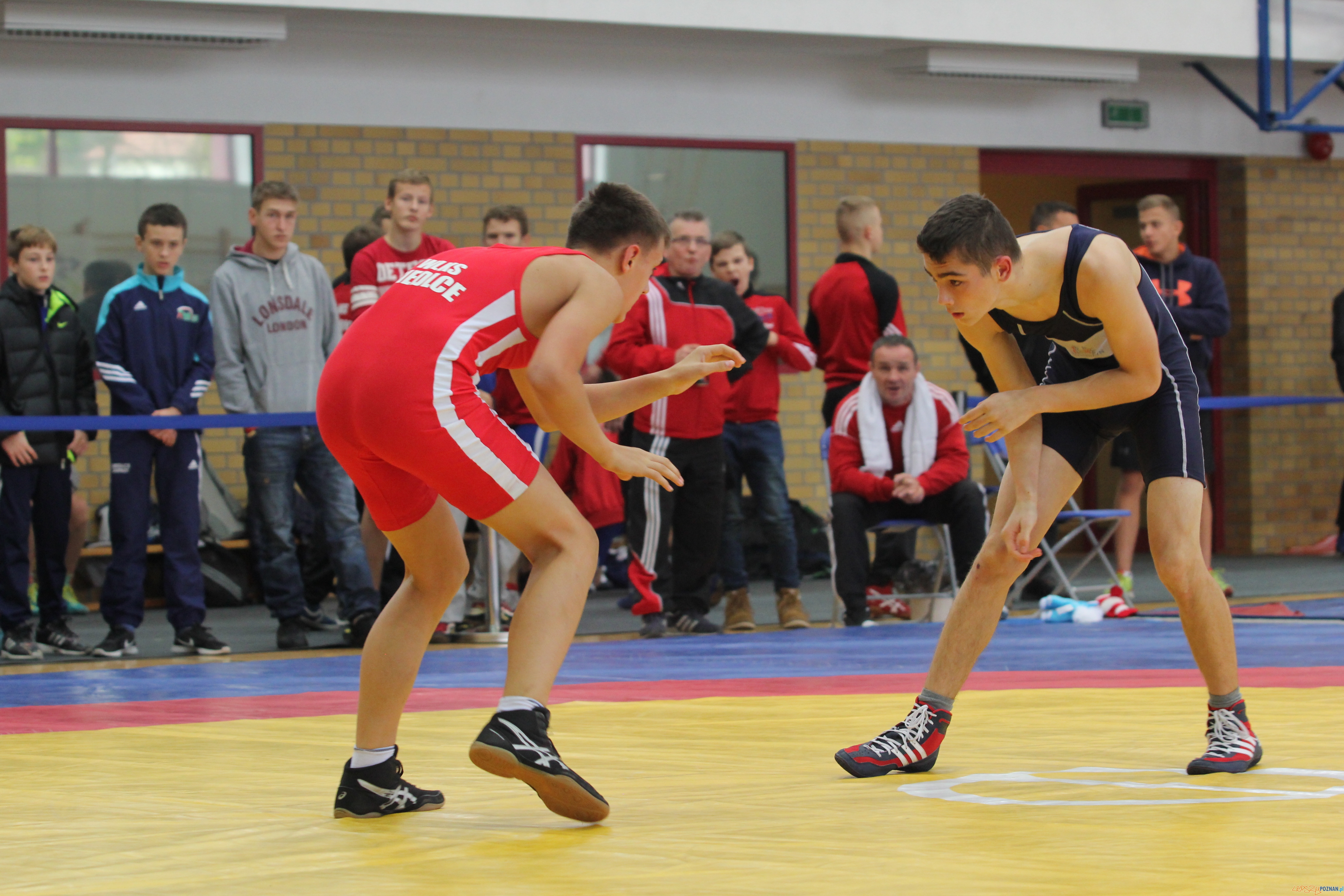 Mistrzostwa Polski Młodzików w zapasach w stylu wolnym Foto: GOSiR Komorniki Mistrzostwa Polski Młodzików w zapasach w stylu wolnym Foto: GOSiR Komorniki