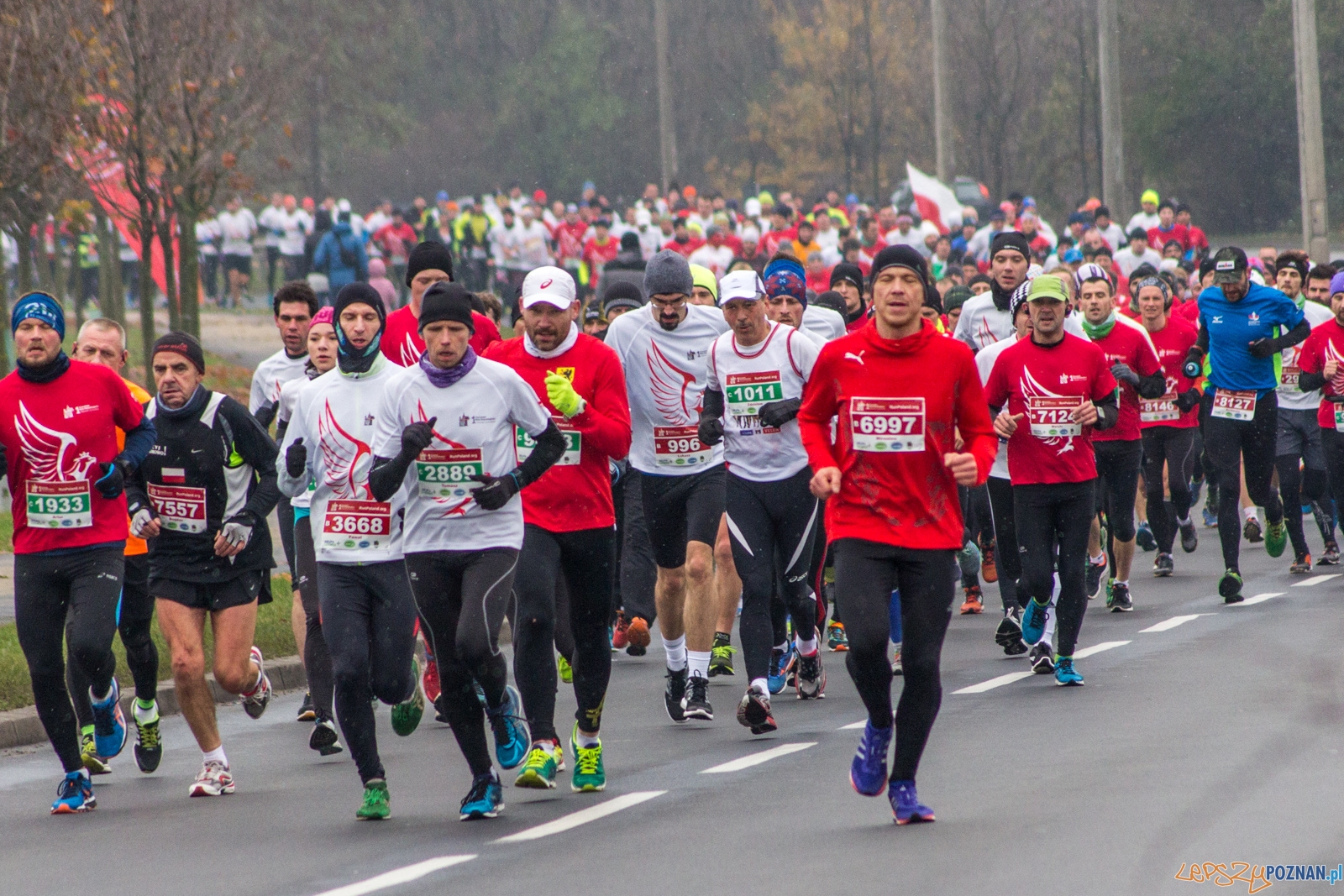 I Poznański Bieg Niepodległości Foto: lepszyPOZNAN.pl / Ewelina Jaśkowiak I Poznański Bieg Niepodległości Foto: lepszyPOZNAN.pl / Ewelina Jaśkowiak