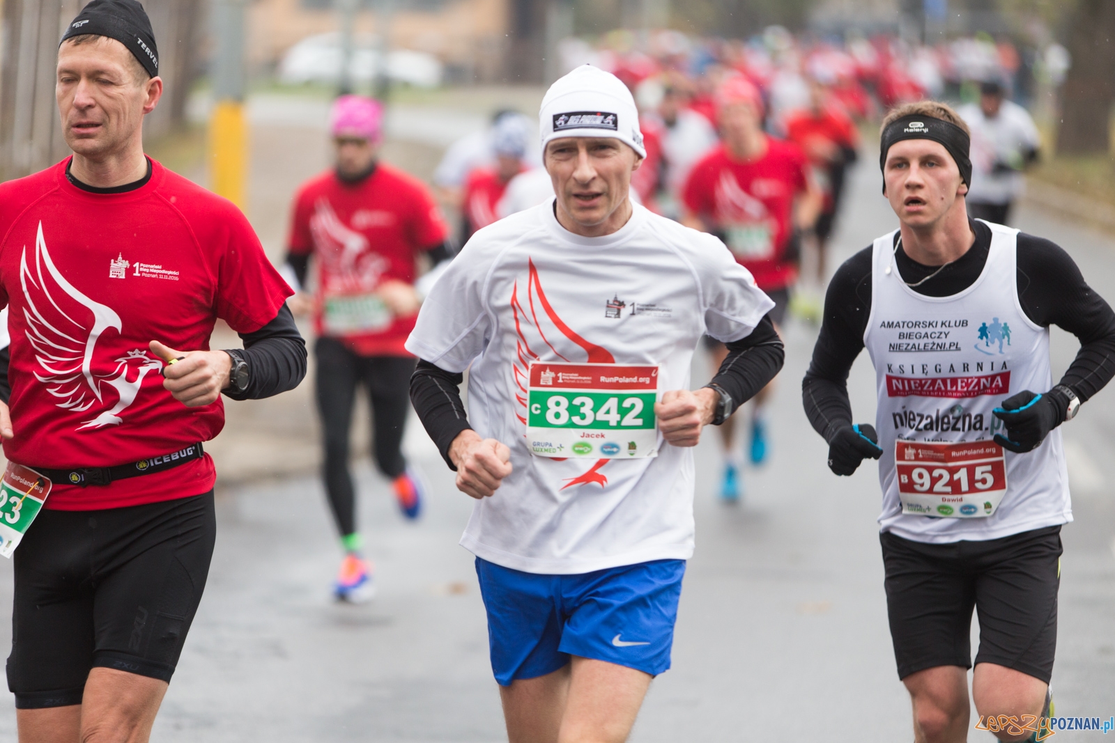 I Poznański Bieg Niepodległości Foto: lepszyPOZNAN.pl / Piotr Rychter I Poznański Bieg Niepodległości Foto: lepszyPOZNAN.pl / Piotr Rychter