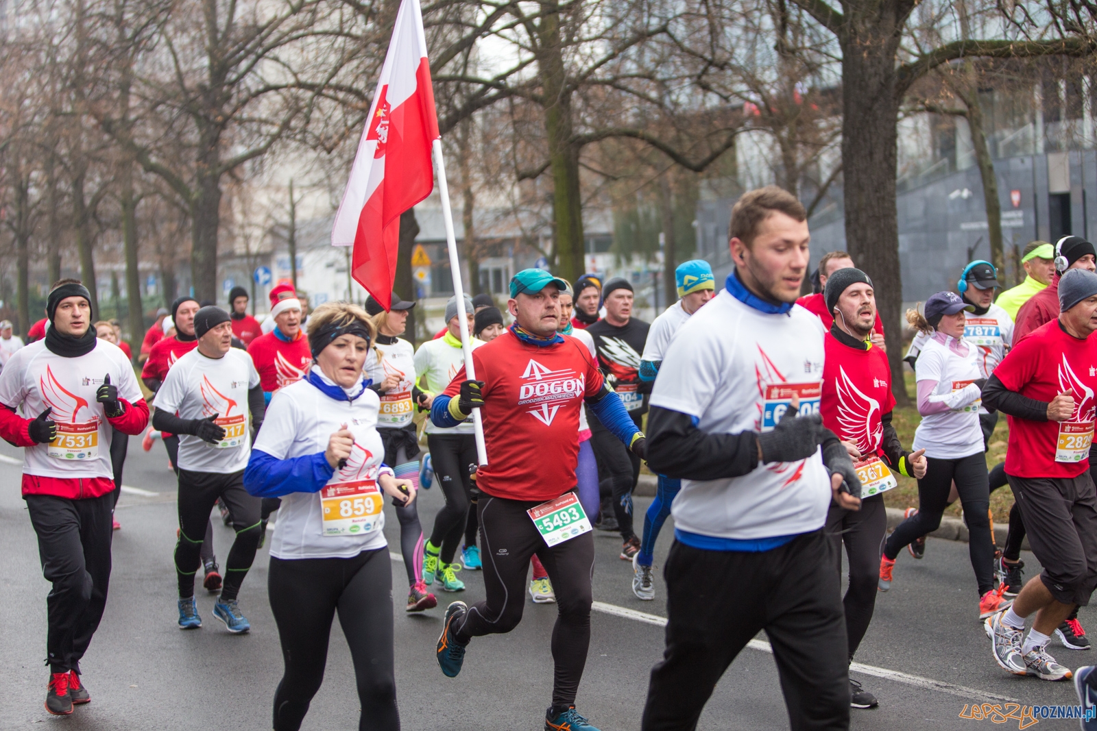 I Poznański Bieg Niepodległości Foto: lepszyPOZNAN.pl / Piotr Rychter I Poznański Bieg Niepodległości Foto: lepszyPOZNAN.pl / Piotr Rychter