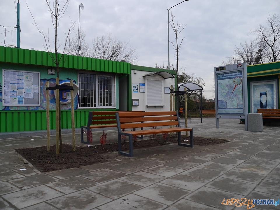 Pętla na Dębcu po remoncie Foto: Tomasz Wierzbicki Pętla na Dębcu po remoncie Foto: Tomasz Wierzbicki