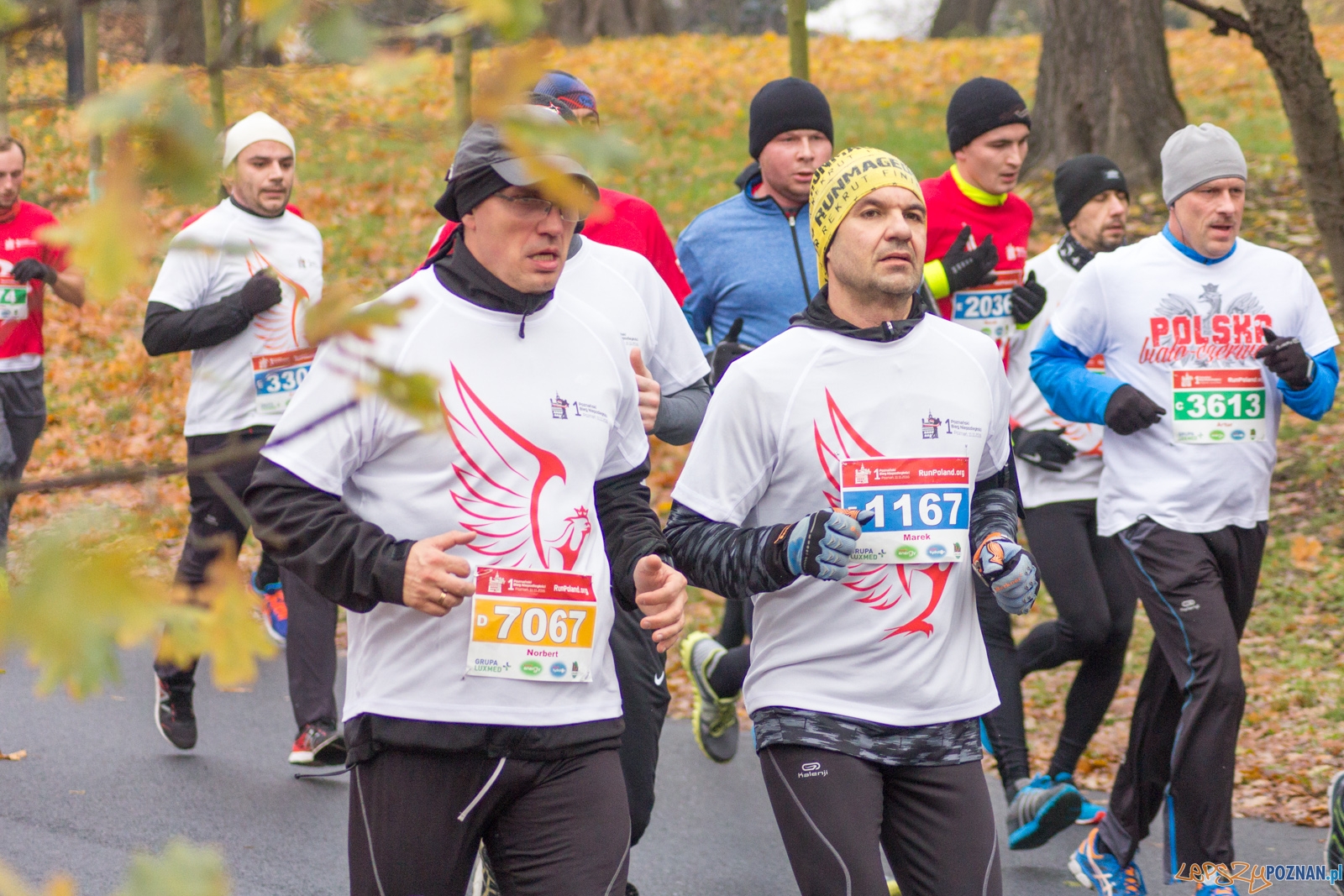 I Poznański Bieg Niepodległości Foto: lepszyPOZNAN.pl / Ewelina Jaśkowiak I Poznański Bieg Niepodległości Foto: lepszyPOZNAN.pl / Ewelina Jaśkowiak
