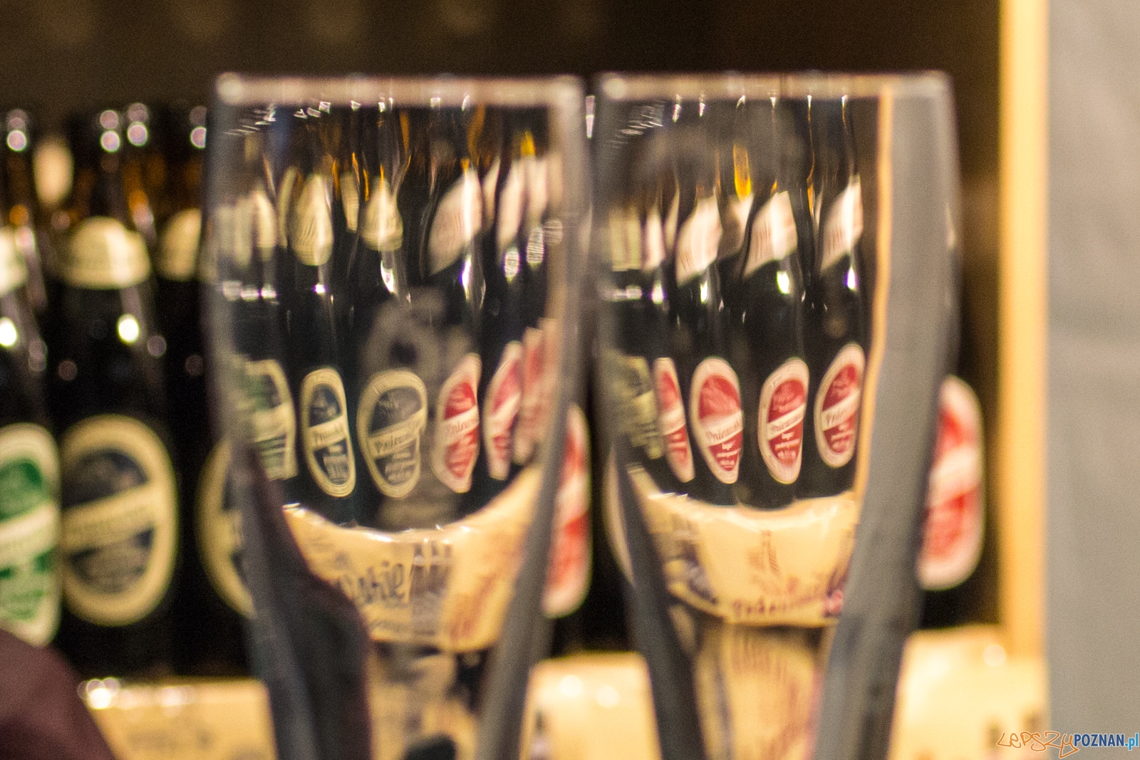 untitled-0950 Foto: Ewelina Jaśkowiak untitled-0950 Foto: Ewelina Jaśkowiak