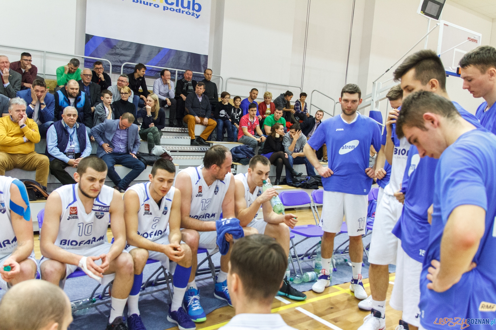 Biofarm Basket Poznań - Zetkama Doral Nysa Kłodzko 73:60 - Poz Foto: LepszyPOZNAN.pl / Paweł Rychter Biofarm Basket Poznań - Zetkama Doral Nysa Kłodzko 73:60 - Poz Foto: LepszyPOZNAN.pl / Paweł Rychter