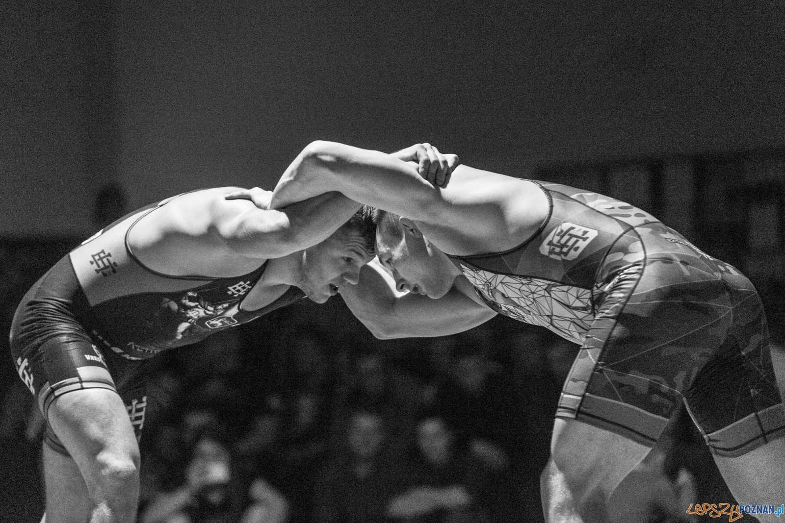 Krajowa Liga Zapaśnicza Foto: lepszyPOZNAN.pl / Piotr Rychter Krajowa Liga Zapaśnicza Foto: lepszyPOZNAN.pl / Piotr Rychter