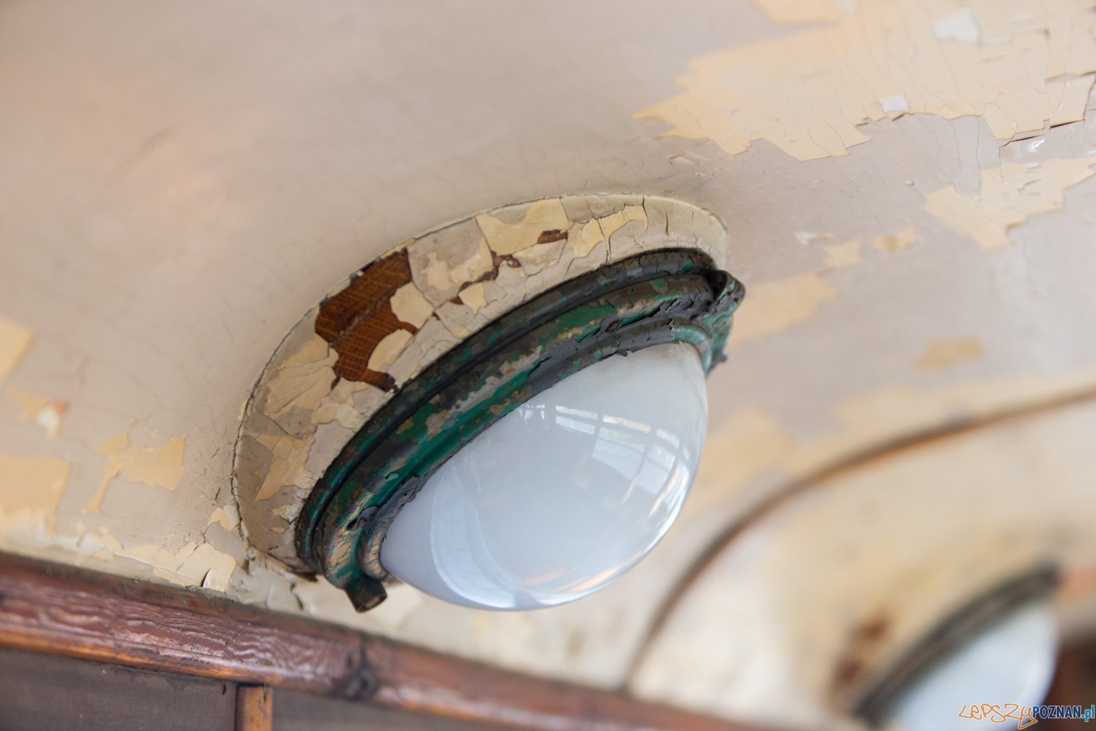 Katarzynki 2016 Foto: lepszyPOZNAN.pl / Piotr Rychter Katarzynki 2016 Foto: lepszyPOZNAN.pl / Piotr Rychter