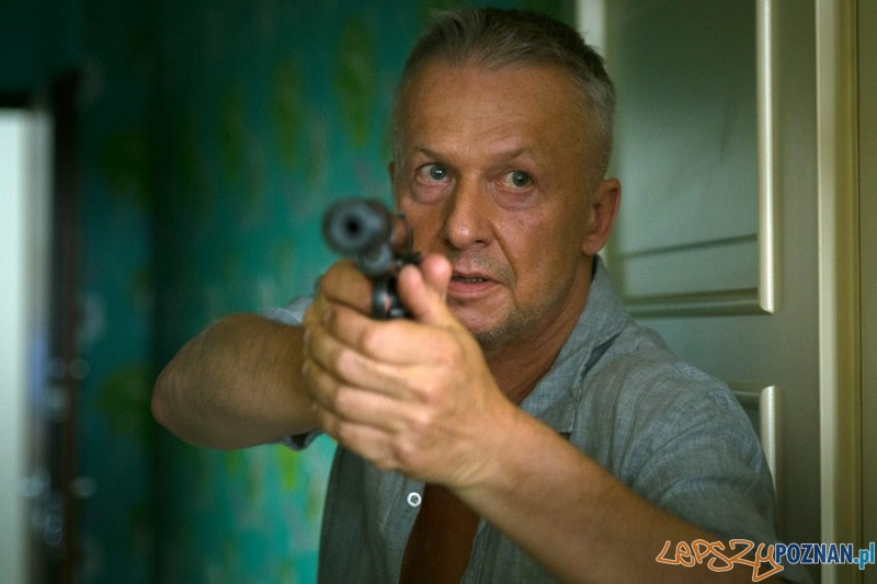 Pitbull. Foto: Materiały prasowe Pitbull. Foto: Materiały prasowe