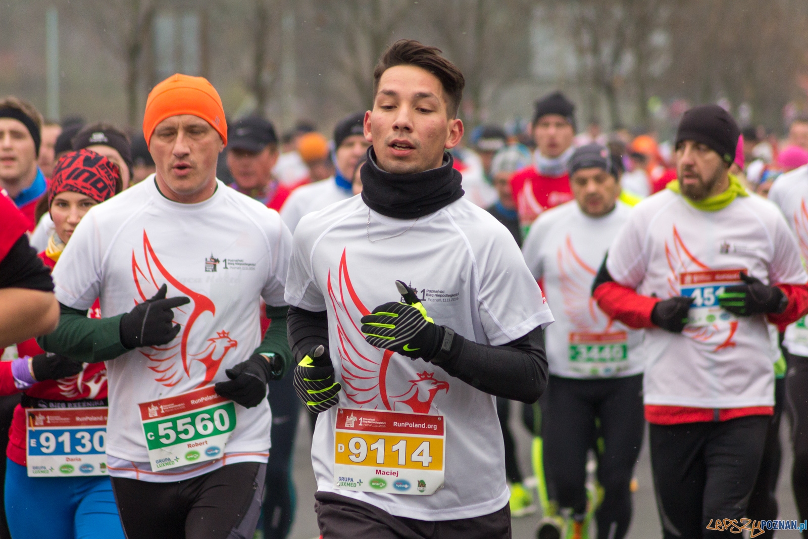 I Poznański Bieg Niepodległości Foto: lepszyPOZNAN.pl / Ewelina Jaśkowiak I Poznański Bieg Niepodległości Foto: lepszyPOZNAN.pl / Ewelina Jaśkowiak