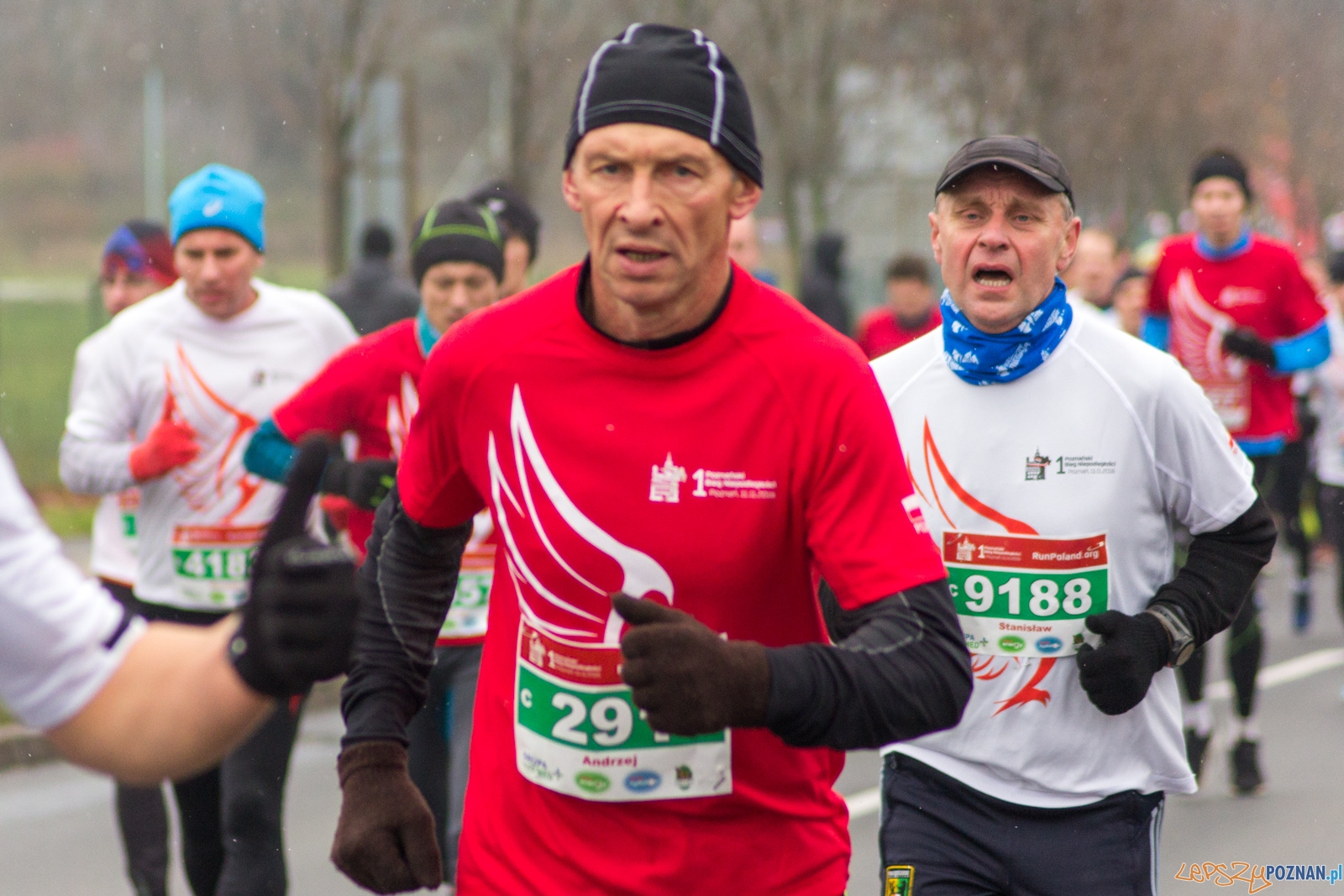 I Poznański Bieg Niepodległości Foto: lepszyPOZNAN.pl / Ewelina Jaśkowiak I Poznański Bieg Niepodległości Foto: lepszyPOZNAN.pl / Ewelina Jaśkowiak