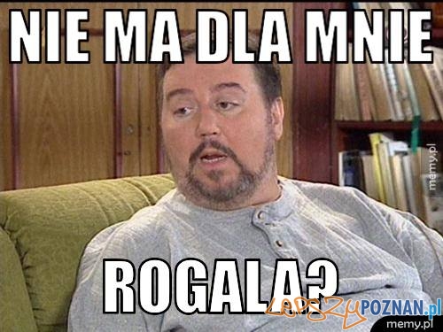 Memy po biegu niepodległości Foto: Facebook Memy po biegu niepodległości Foto: Facebook