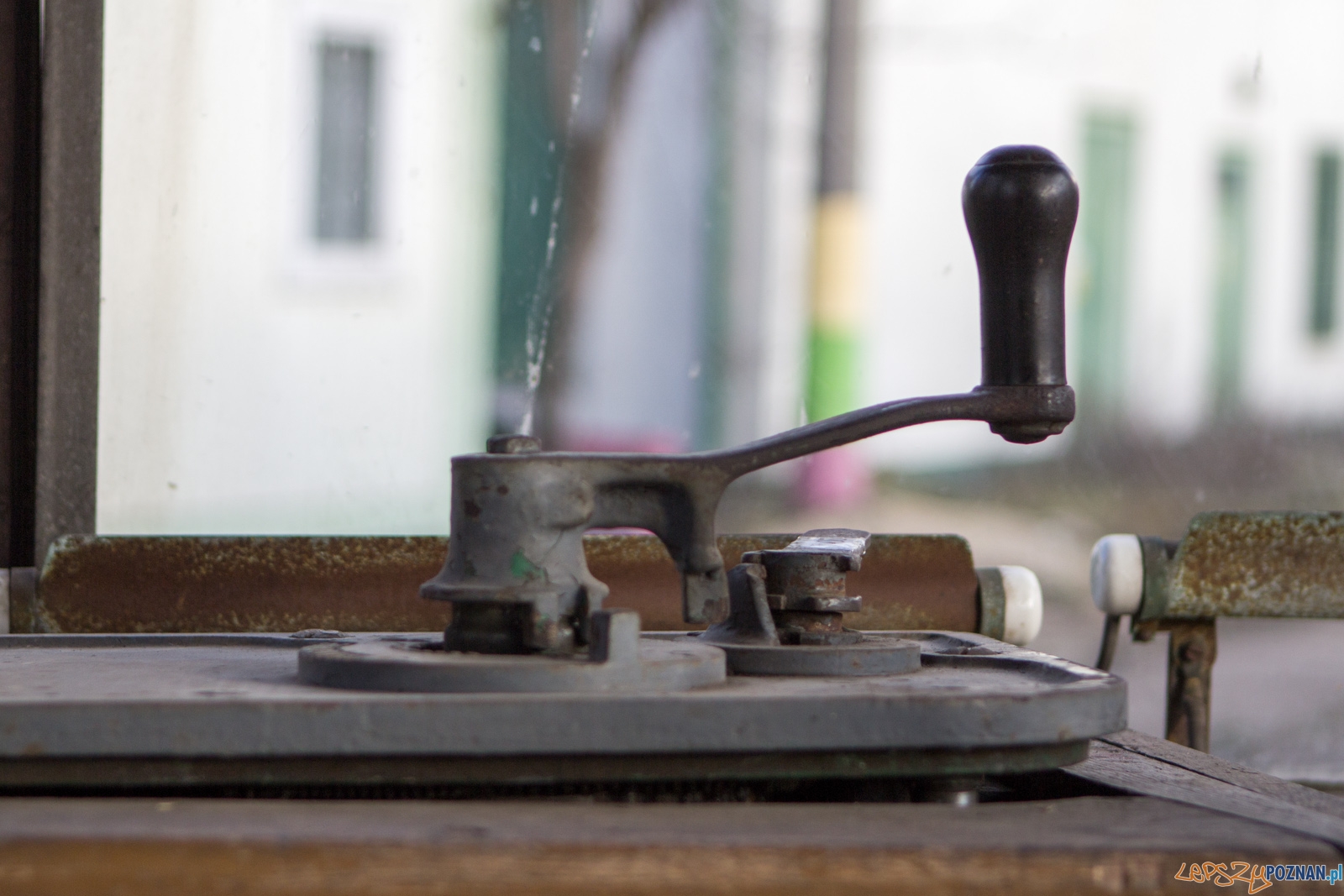 lp-3962 Foto: Ewelina Jaśkowiak lp-3962 Foto: Ewelina Jaśkowiak