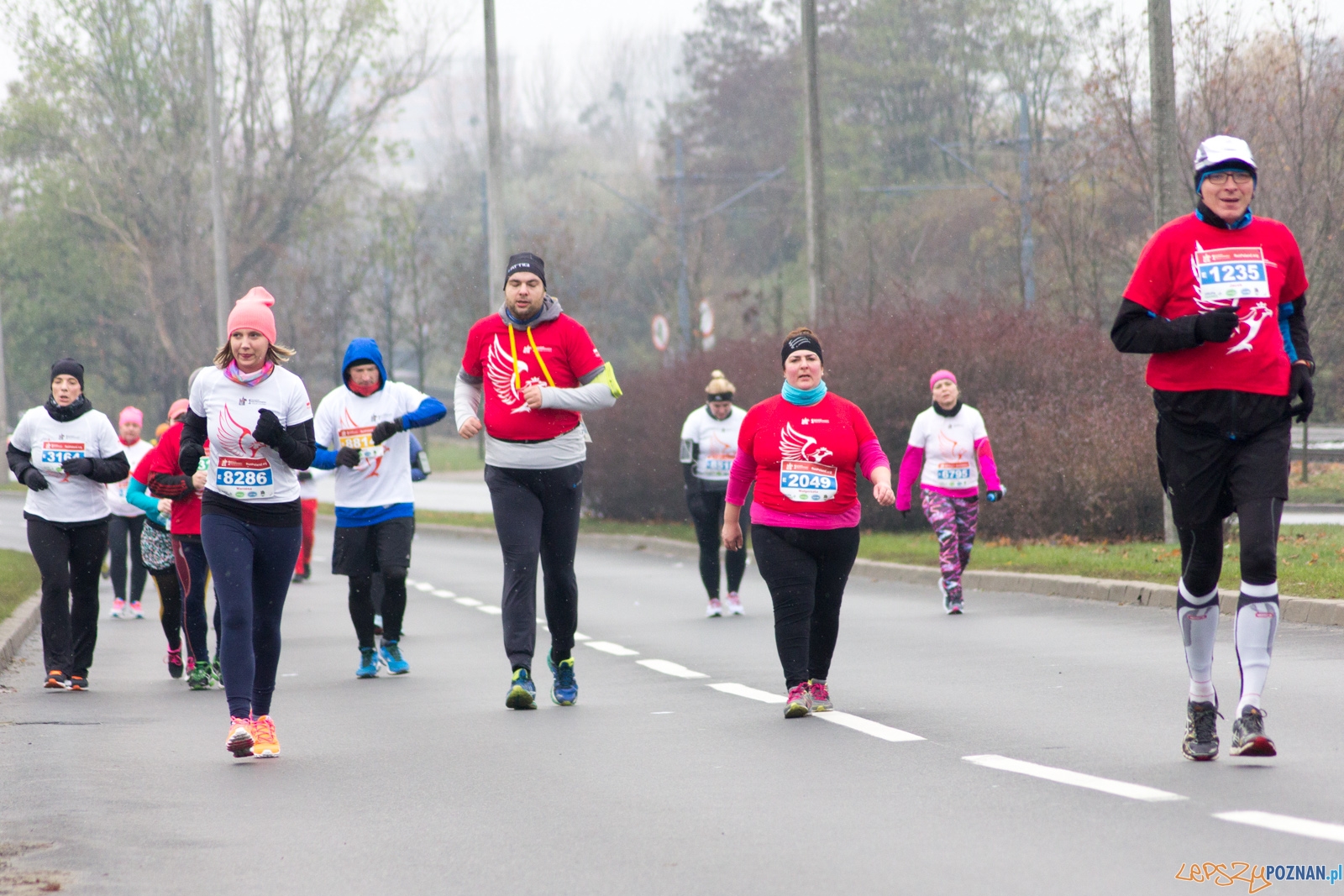 I Poznański Bieg Niepodległości Foto: lepszyPOZNAN.pl / Ewelina Jaśkowiak I Poznański Bieg Niepodległości Foto: lepszyPOZNAN.pl / Ewelina Jaśkowiak