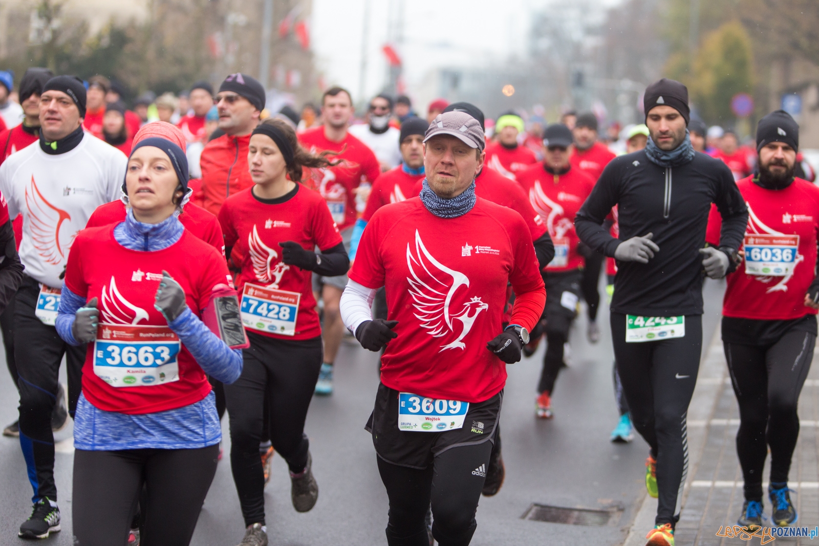 I Poznański Bieg Niepodległości Foto: lepszyPOZNAN.pl / Piotr Rychter I Poznański Bieg Niepodległości Foto: lepszyPOZNAN.pl / Piotr Rychter