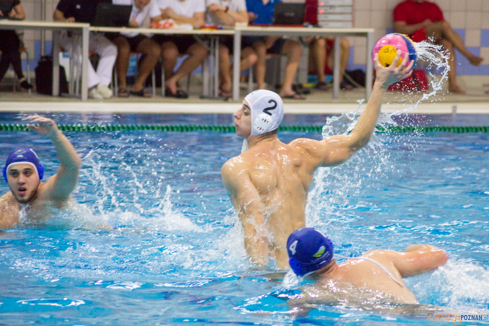 KS Waterpolo Poznań - GKPW 59 Gorzów Foto: Ewelina Jaśkowiak KS Waterpolo Poznań - GKPW 59 Gorzów Foto: Ewelina Jaśkowiak