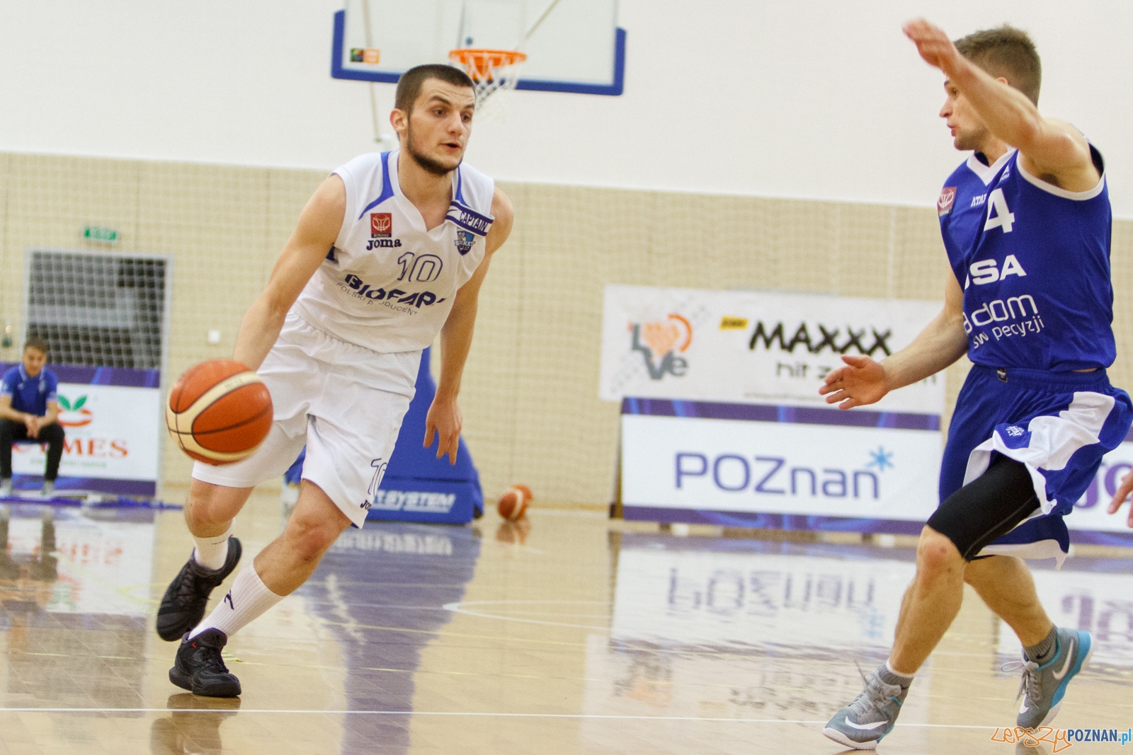 Biofarm Basket Poznań - ACK UTH Rosa Radom 64:51 - 1 liga - Poz Foto: LepszyPOZNAN.pl / Paweł Rychter Biofarm Basket Poznań - ACK UTH Rosa Radom 64:51 - 1 liga - Poz Foto: LepszyPOZNAN.pl / Paweł Rychter