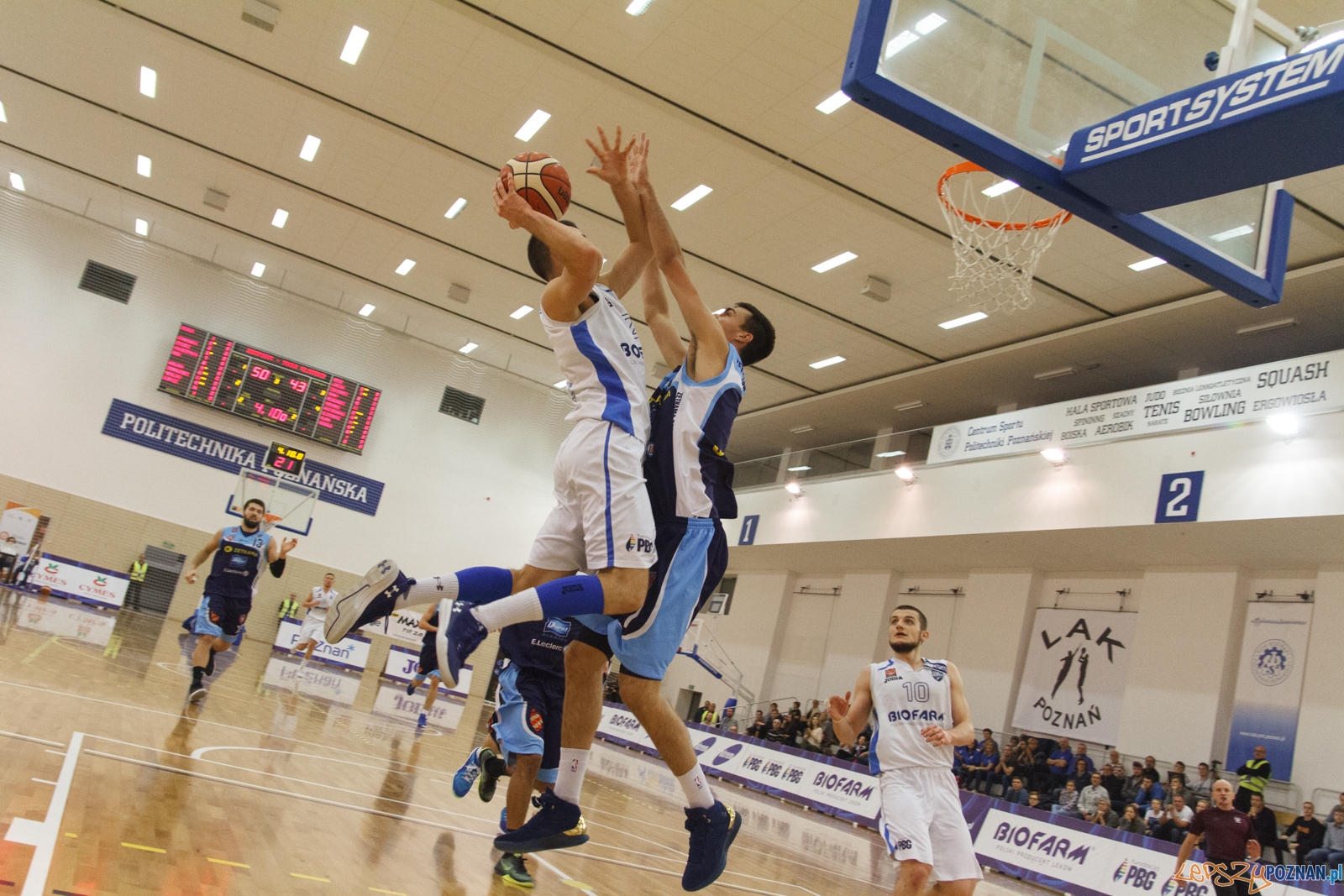 Biofarm Basket Poznań - Zetkama Doral Nysa Kłodzko 73:60 - Poz Foto: LepszyPOZNAN.pl / Paweł Rychter Biofarm Basket Poznań - Zetkama Doral Nysa Kłodzko 73:60 - Poz Foto: LepszyPOZNAN.pl / Paweł Rychter