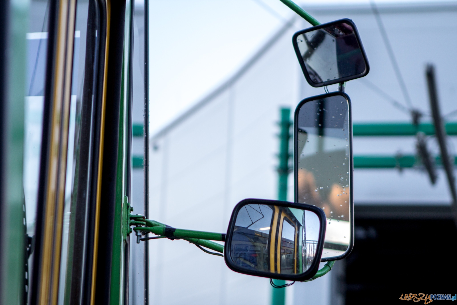 lp-4011 Foto: Ewelina Jaśkowiak lp-4011 Foto: Ewelina Jaśkowiak