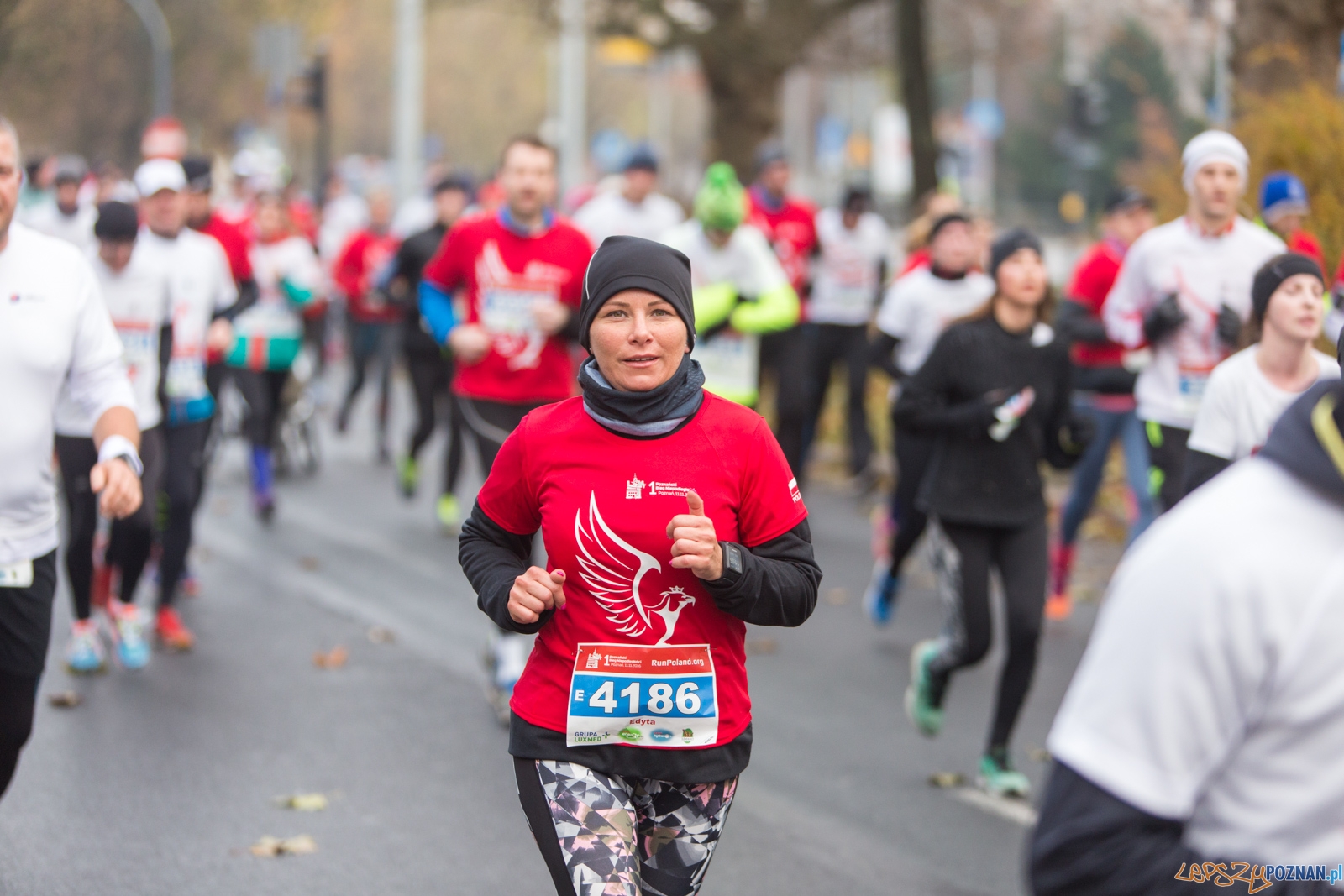 I Poznański Bieg Niepodległości Foto: lepszyPOZNAN.pl / Piotr Rychter I Poznański Bieg Niepodległości Foto: lepszyPOZNAN.pl / Piotr Rychter