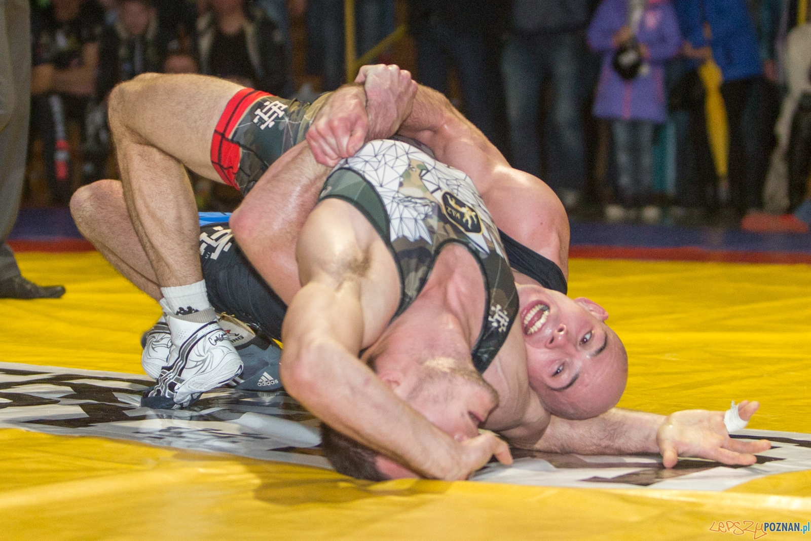 Krajowa Liga Zapaśnicza Foto: lepszyPOZNAN.pl / Piotr Rychter Krajowa Liga Zapaśnicza Foto: lepszyPOZNAN.pl / Piotr Rychter