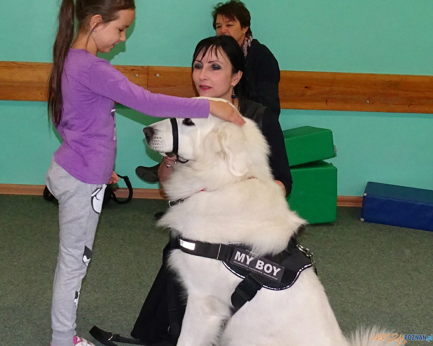 Na pomoc bezpańskim kejtrom Foto: Szkoła Podstawowa w Murowanej Goślinie Na pomoc bezpańskim kejtrom Foto: Szkoła Podstawowa w Murowanej Goślinie