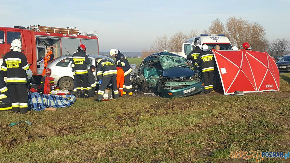 Śmiertelny wypadek w Promnie Foto: EuroHol Śmiertelny wypadek w Promnie Foto: EuroHol