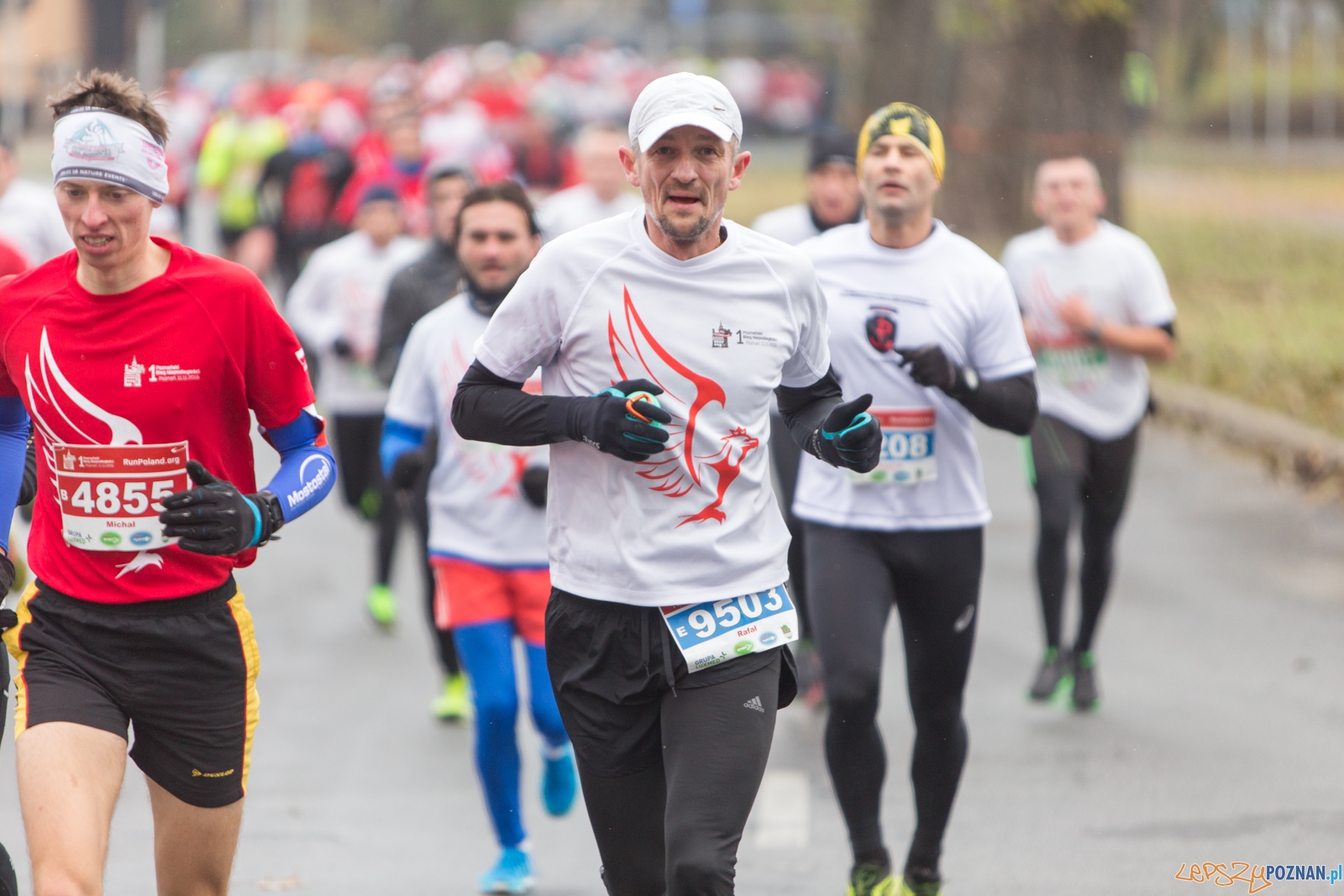 I Poznański Bieg Niepodległości Foto: lepszyPOZNAN.pl / Piotr Rychter I Poznański Bieg Niepodległości Foto: lepszyPOZNAN.pl / Piotr Rychter