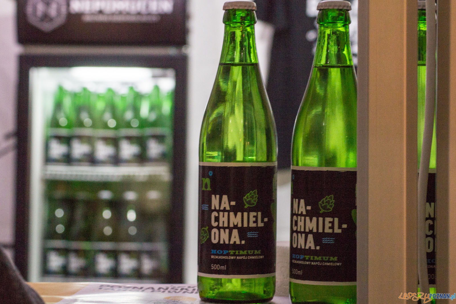 untitled-0913 Foto: Ewelina Jaśkowiak untitled-0913 Foto: Ewelina Jaśkowiak