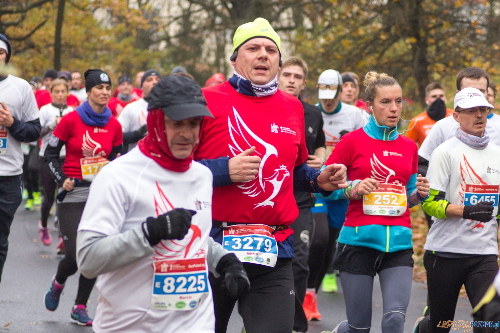 I Poznański Bieg Niepodległości Foto: lepszyPOZNAN.pl / Ewelina Jaśkowiak I Poznański Bieg Niepodległości Foto: lepszyPOZNAN.pl / Ewelina Jaśkowiak