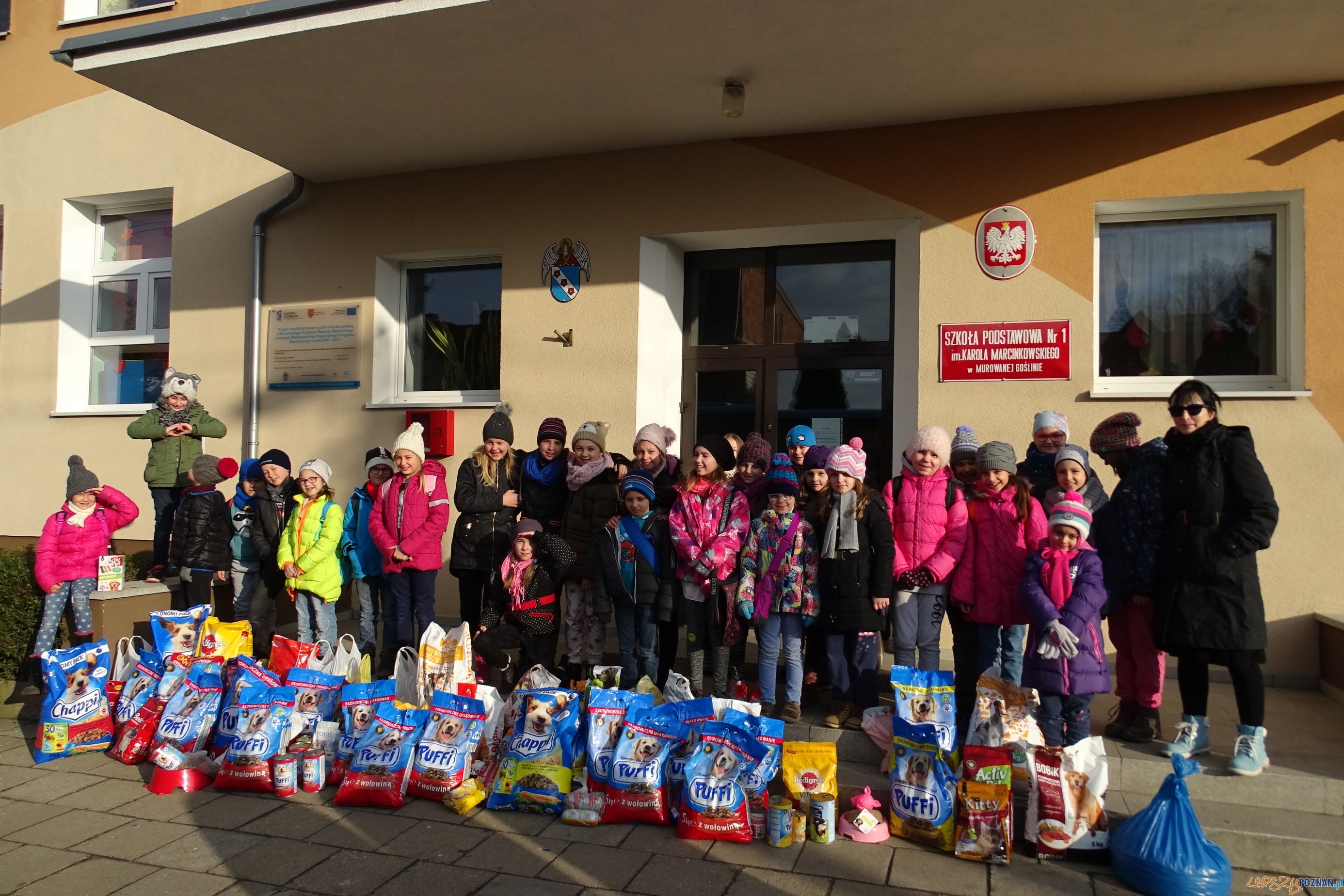Na pomoc bezpańskim kejtrom Foto: Szkoła Podstawowa w Murowanej Goślinie Na pomoc bezpańskim kejtrom Foto: Szkoła Podstawowa w Murowanej Goślinie