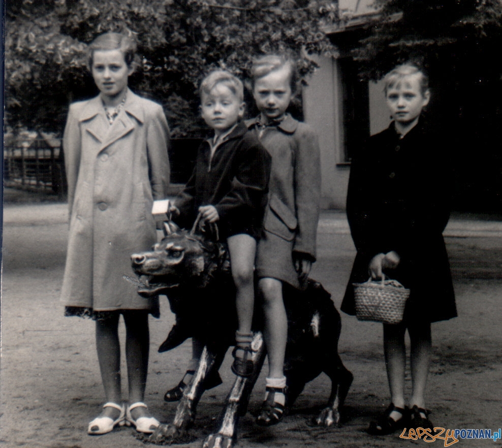 Stare ZOO (1954) Foto: materiały archiwalne ZOO Stare ZOO (1954) Foto: materiały archiwalne ZOO