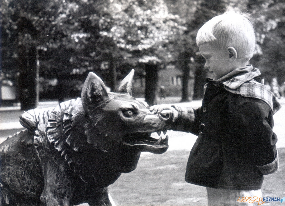 Stare ZOO (1960) Foto: Stare ZOO (1960) Foto: