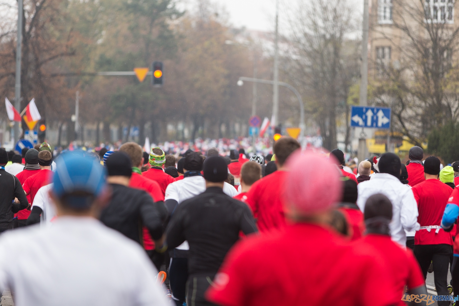 I Poznański Bieg Niepodległości Foto: lepszyPOZNAN.pl / Piotr Rychter I Poznański Bieg Niepodległości Foto: lepszyPOZNAN.pl / Piotr Rychter