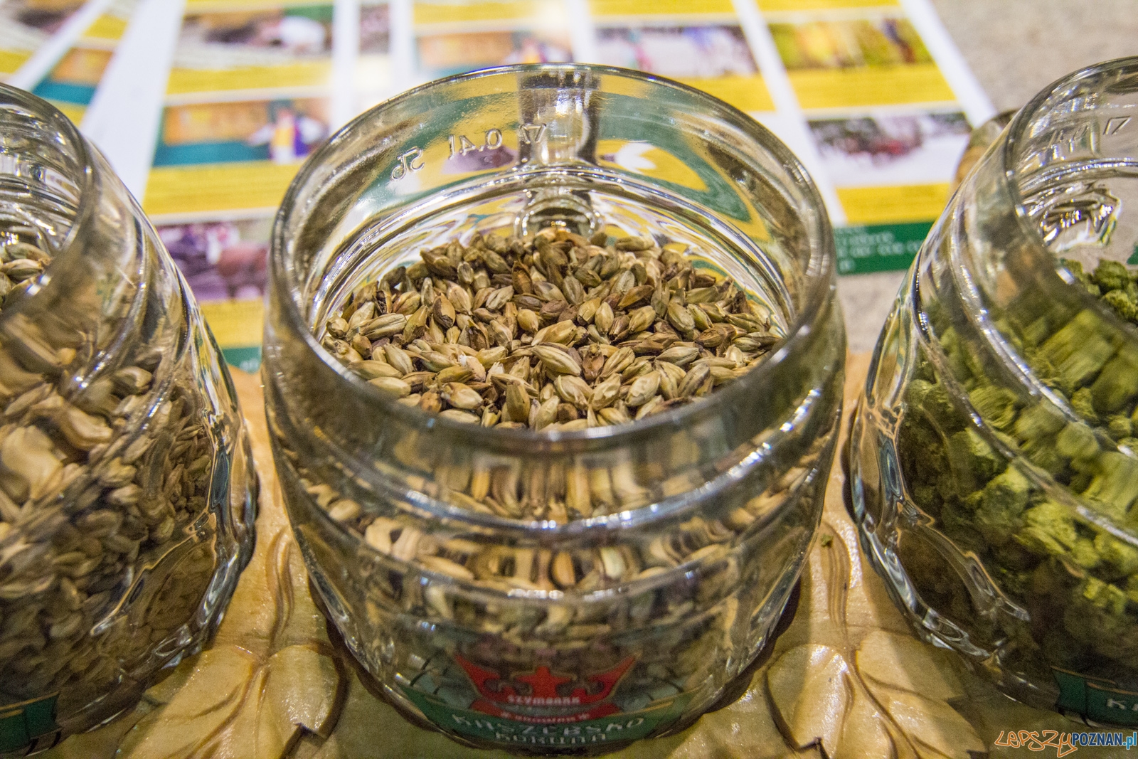 untitled-0974 Foto: Ewelina Jaśkowiak untitled-0974 Foto: Ewelina Jaśkowiak