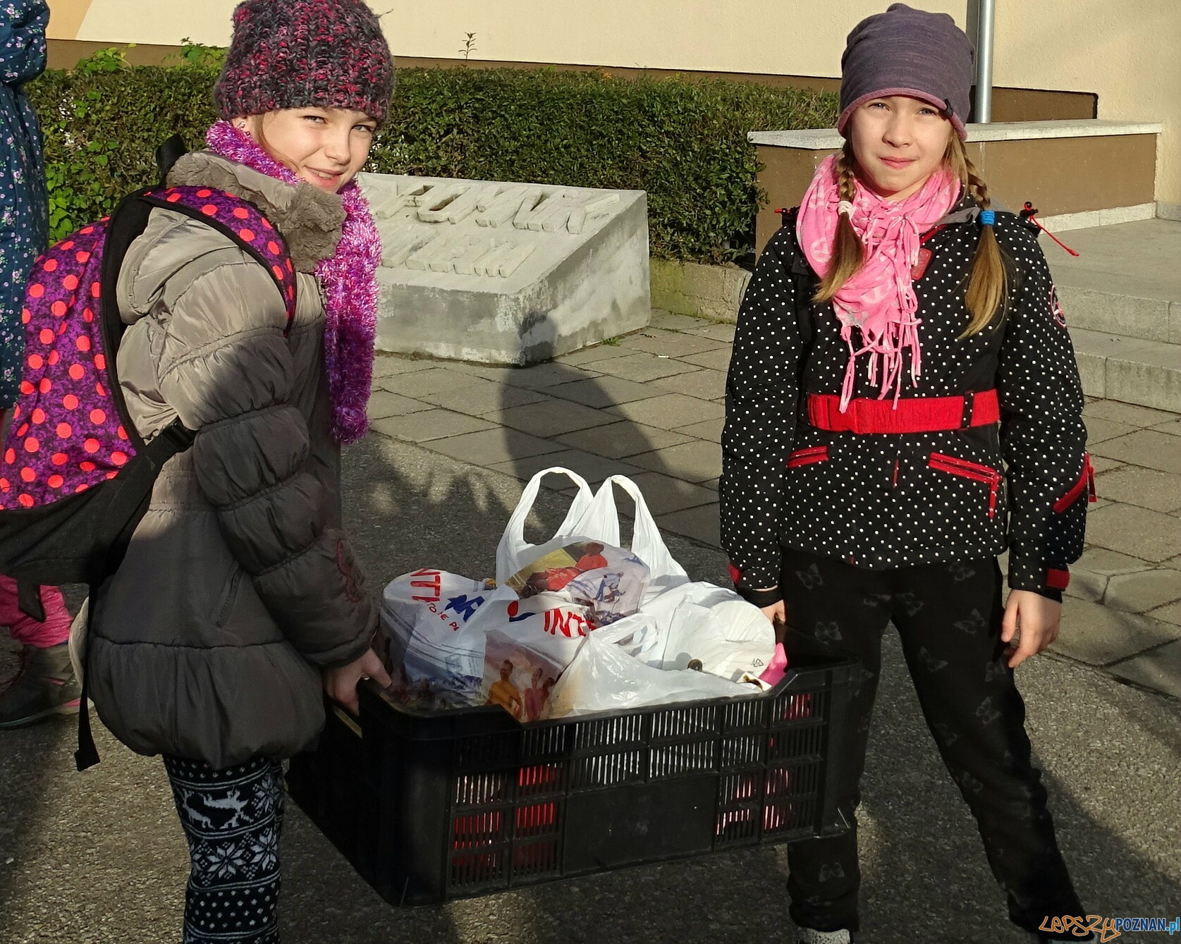 Na pomoc bezpańskim kejtrom Foto: Szkoła Podstawowa w Murowanej Goślinie Na pomoc bezpańskim kejtrom Foto: Szkoła Podstawowa w Murowanej Goślinie