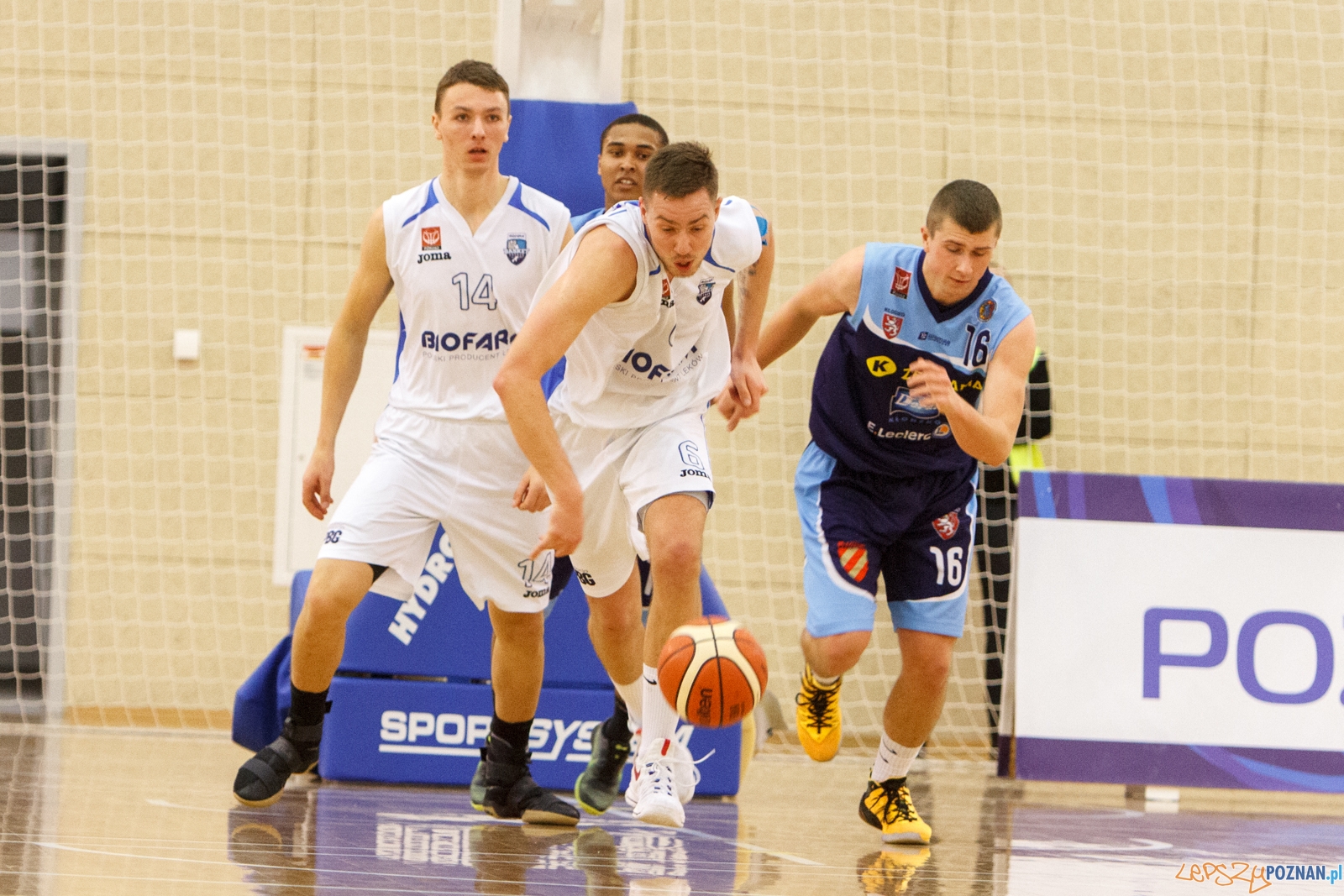 Biofarm Basket Poznań - Zetkama Doral Nysa Kłodzko 73:60 - Poz Foto: LepszyPOZNAN.pl / Paweł Rychter Biofarm Basket Poznań - Zetkama Doral Nysa Kłodzko 73:60 - Poz Foto: LepszyPOZNAN.pl / Paweł Rychter