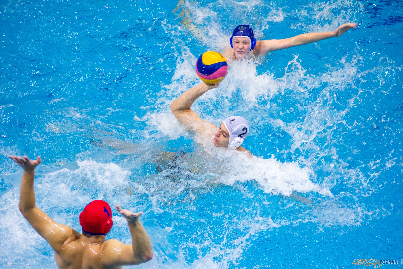 KS Waterpolo Poznań - GKPW 59 Gorzów Foto: Ewelina Jaśkowiak KS Waterpolo Poznań - GKPW 59 Gorzów Foto: Ewelina Jaśkowiak