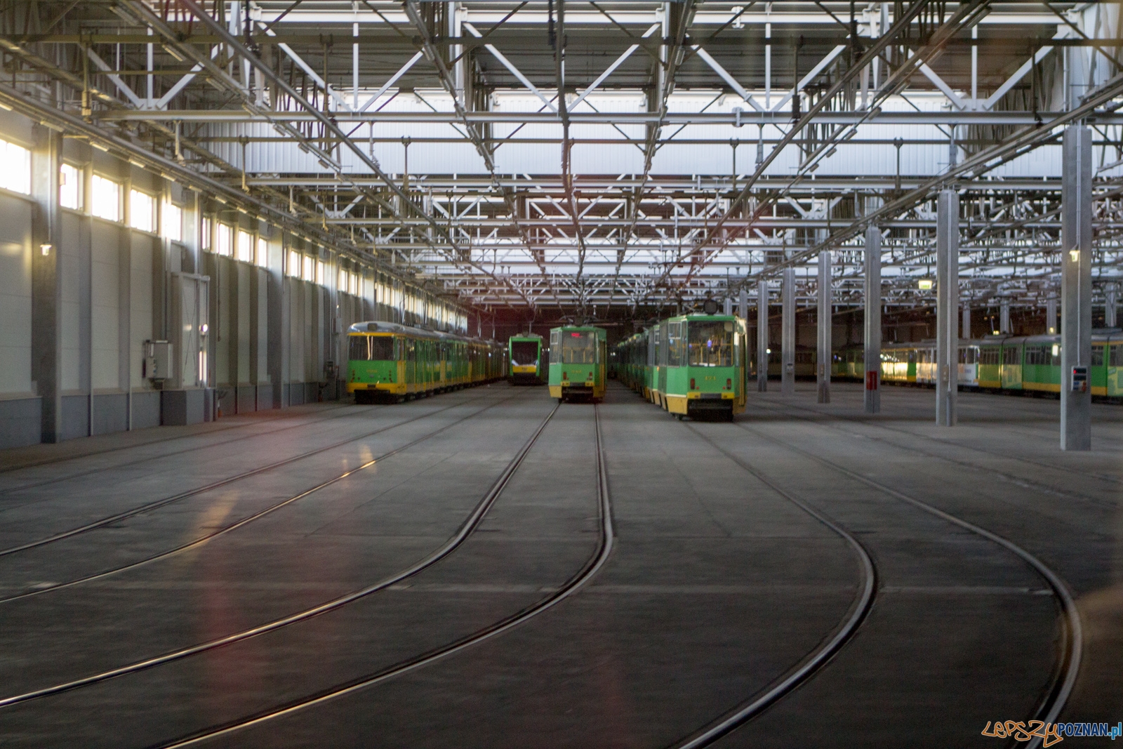 lp-4025 Foto: Ewelina Jaśkowiak lp-4025 Foto: Ewelina Jaśkowiak