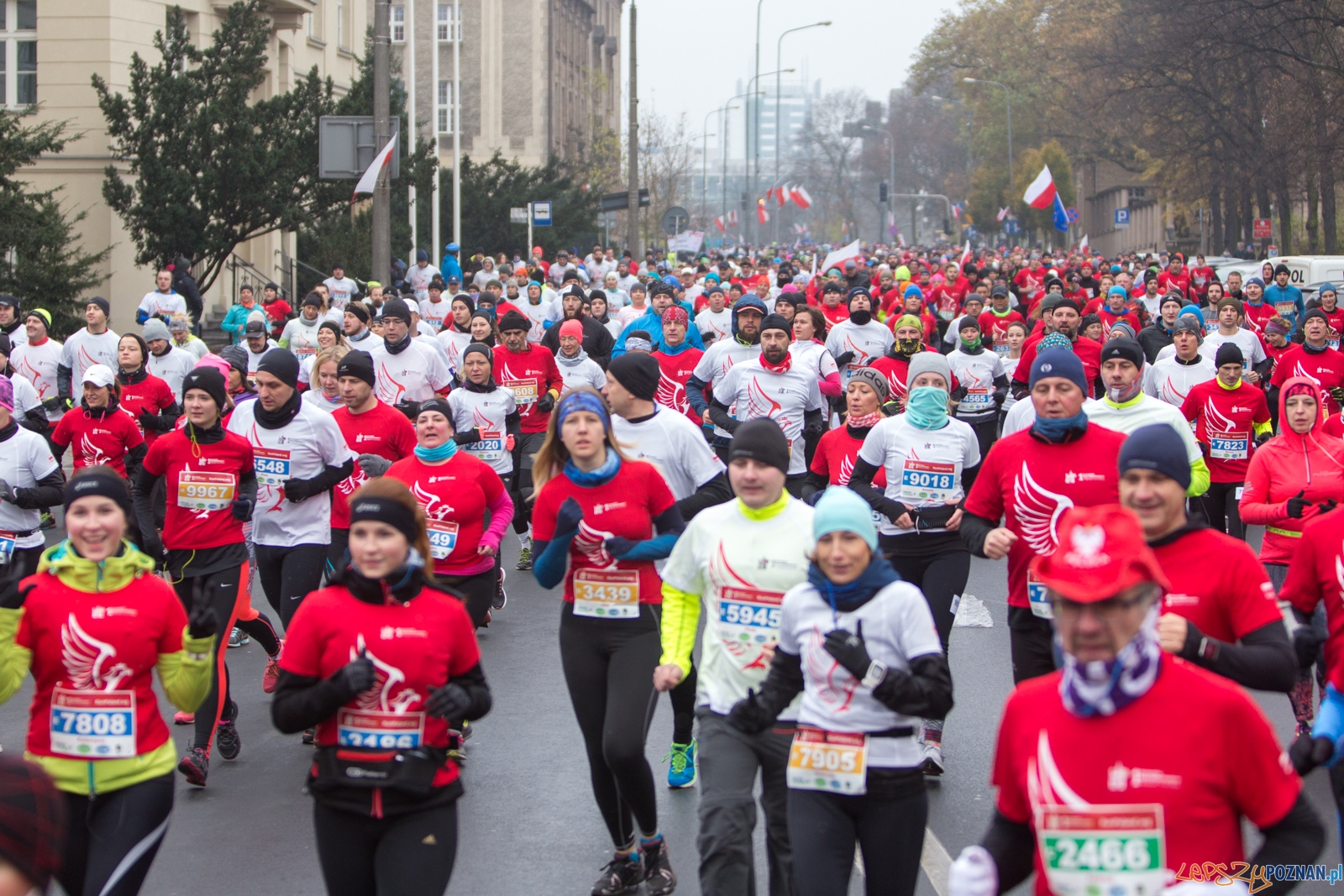 I Poznański Bieg Niepodległości Foto: lepszyPOZNAN.pl / Piotr Rychter I Poznański Bieg Niepodległości Foto: lepszyPOZNAN.pl / Piotr Rychter