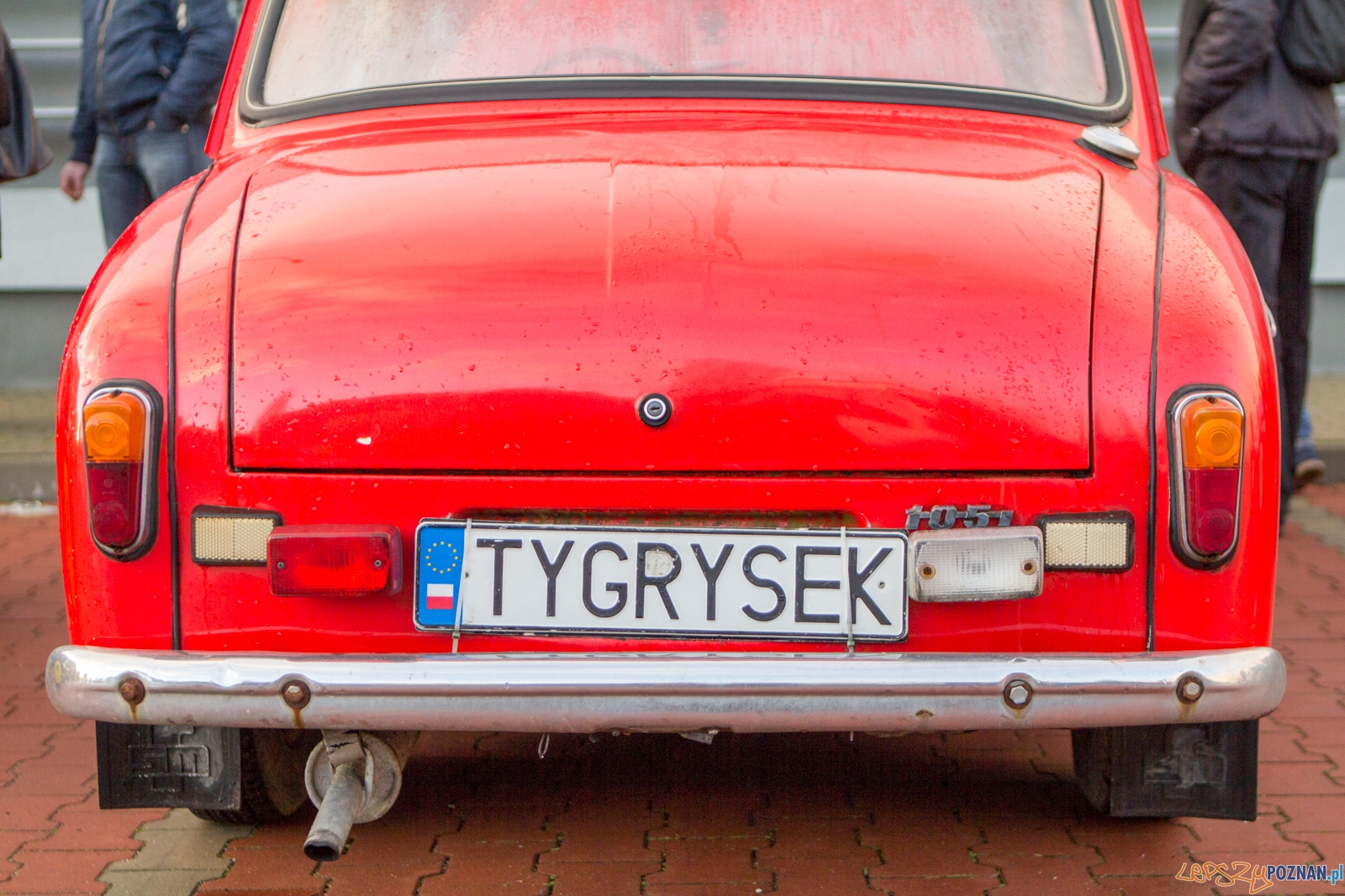 lp-4052 Foto: Ewelina Jaśkowiak lp-4052 Foto: Ewelina Jaśkowiak