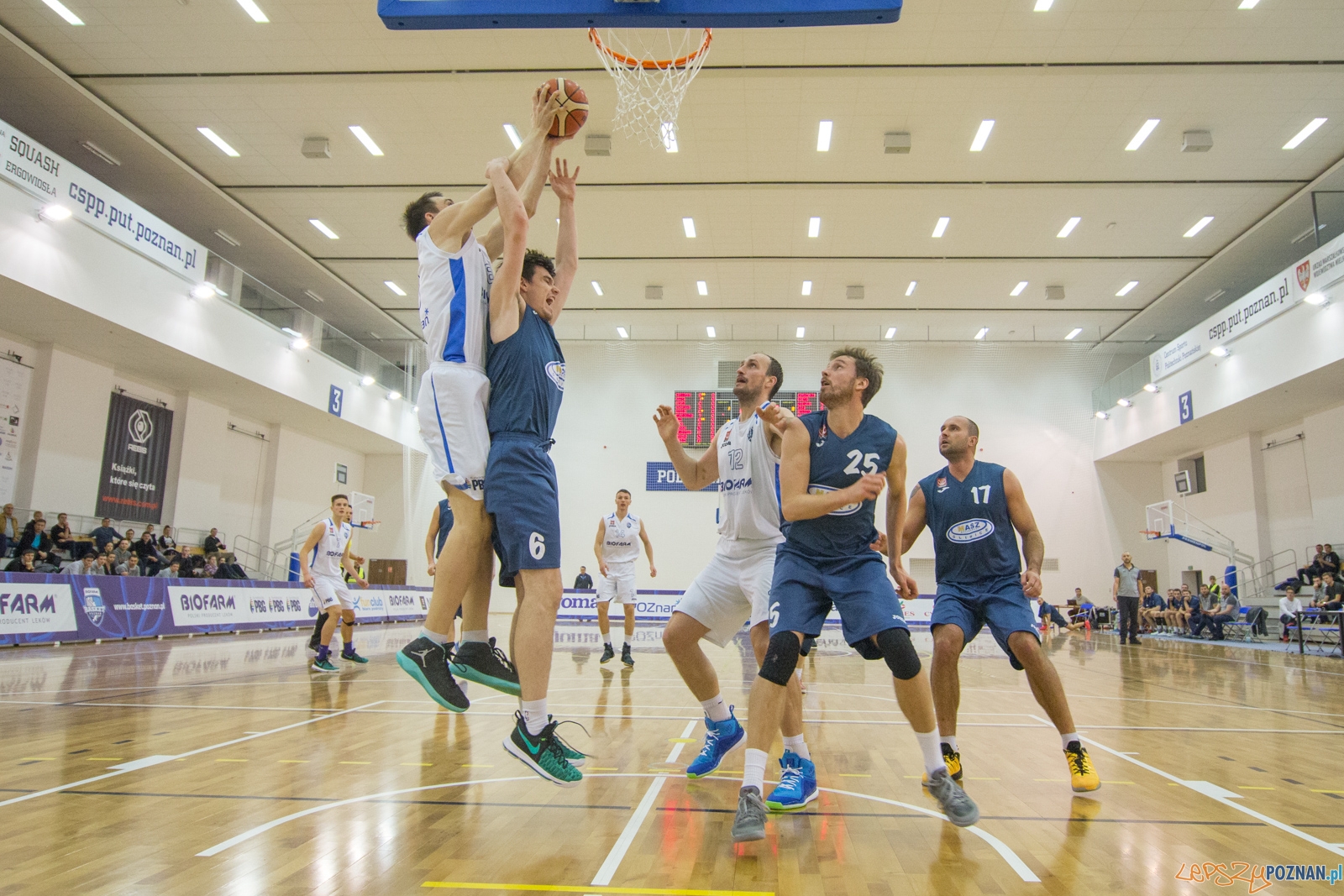 Biofarm Basket Poznań - GKS Gliwice Foto: lepszyPOZNAN.pl / Piotr Rychter Biofarm Basket Poznań - GKS Gliwice Foto: lepszyPOZNAN.pl / Piotr Rychter