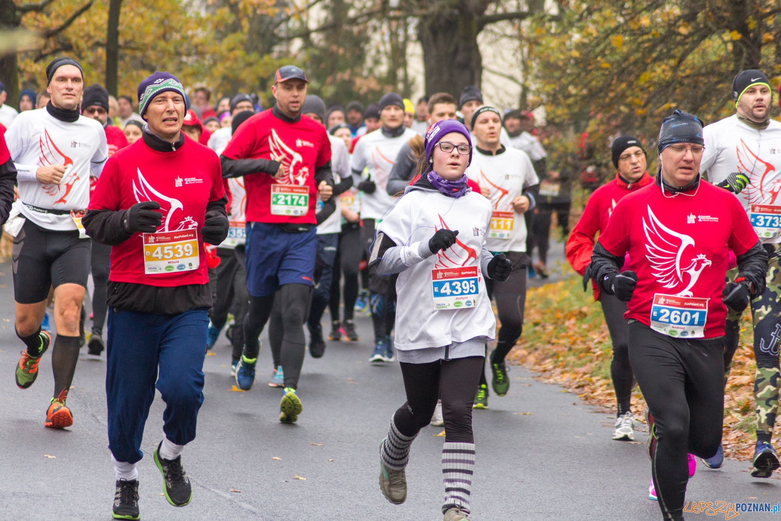 I Poznański Bieg Niepodległości Foto: lepszyPOZNAN.pl / Ewelina Jaśkowiak I Poznański Bieg Niepodległości Foto: lepszyPOZNAN.pl / Ewelina Jaśkowiak