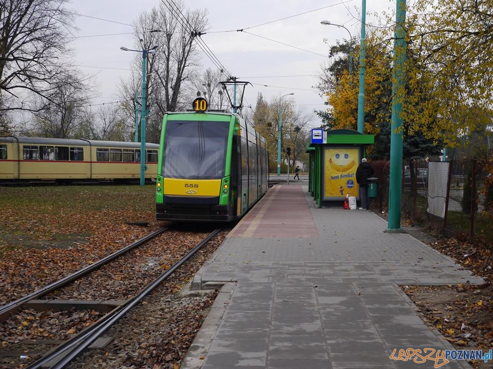 Pętla na Dębcu po remoncie Foto: Tomasz Wierzbicki Pętla na Dębcu po remoncie Foto: Tomasz Wierzbicki